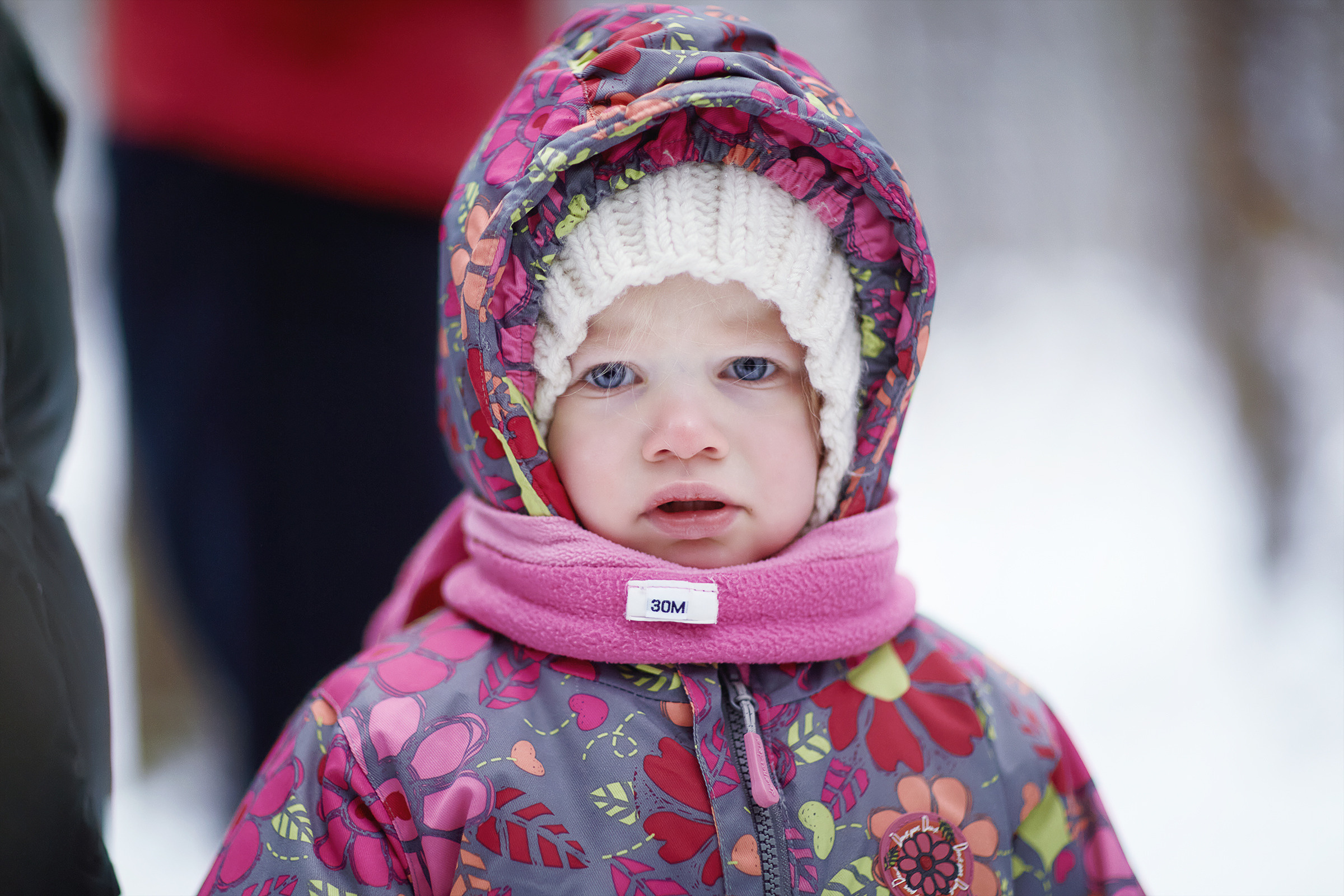 Короткий зимний поход в лес (04.01.2021). Фотограф Роман Желтухин