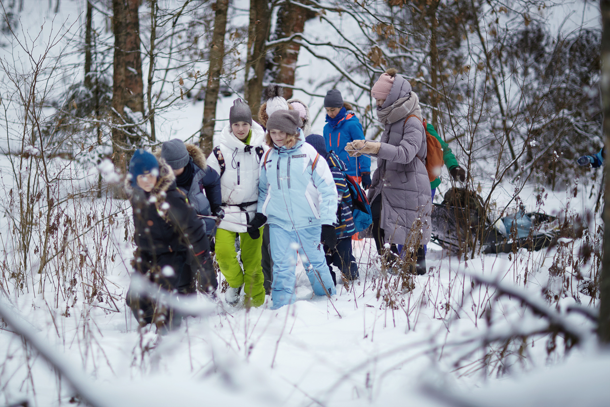 Короткий зимний поход в лес (04.01.2021). Фотограф Роман Желтухин