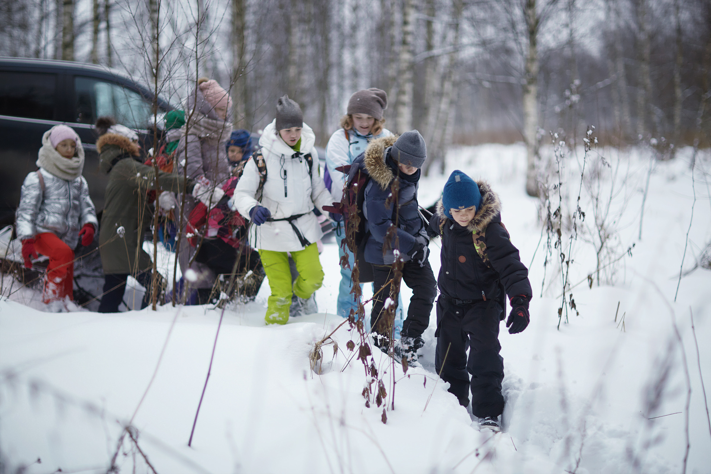 Короткий зимний поход в лес (04.01.2021). Фотограф Роман Желтухин