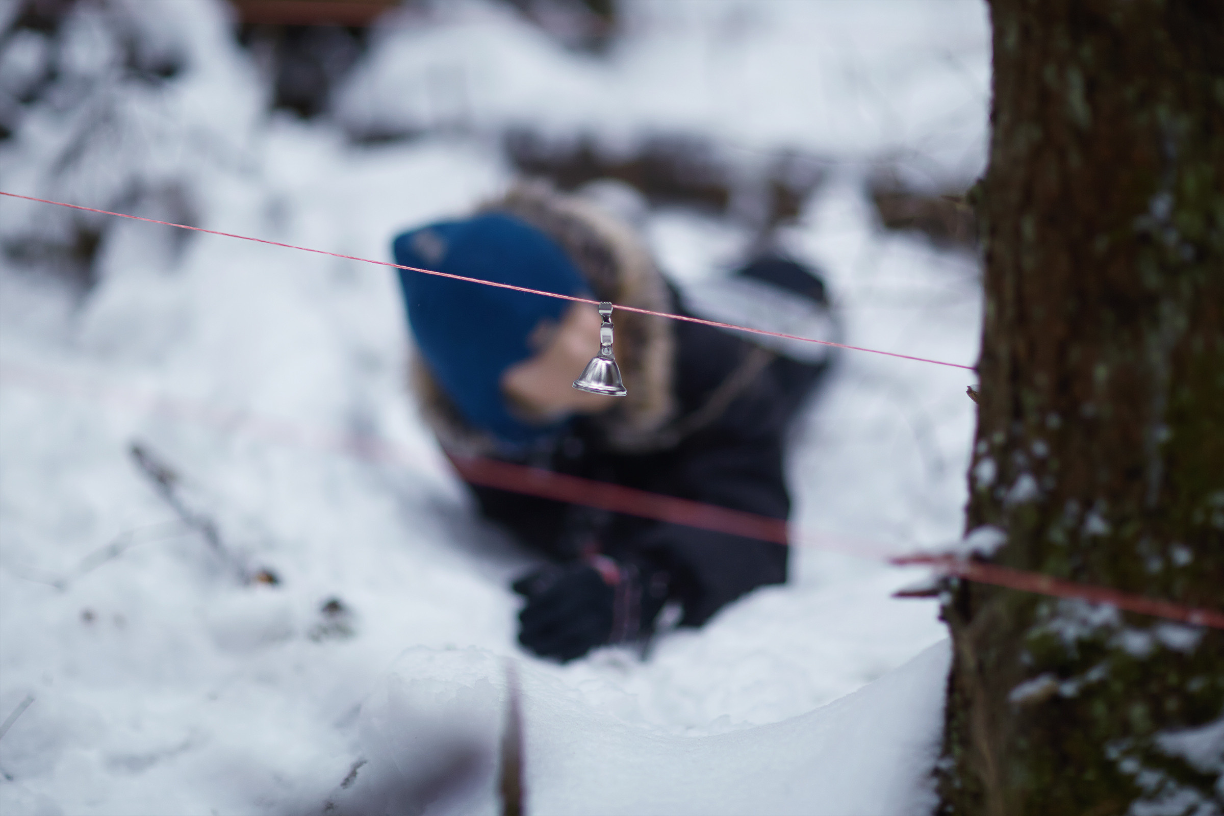 Короткий зимний поход в лес (04.01.2021). Фотограф Роман Желтухин