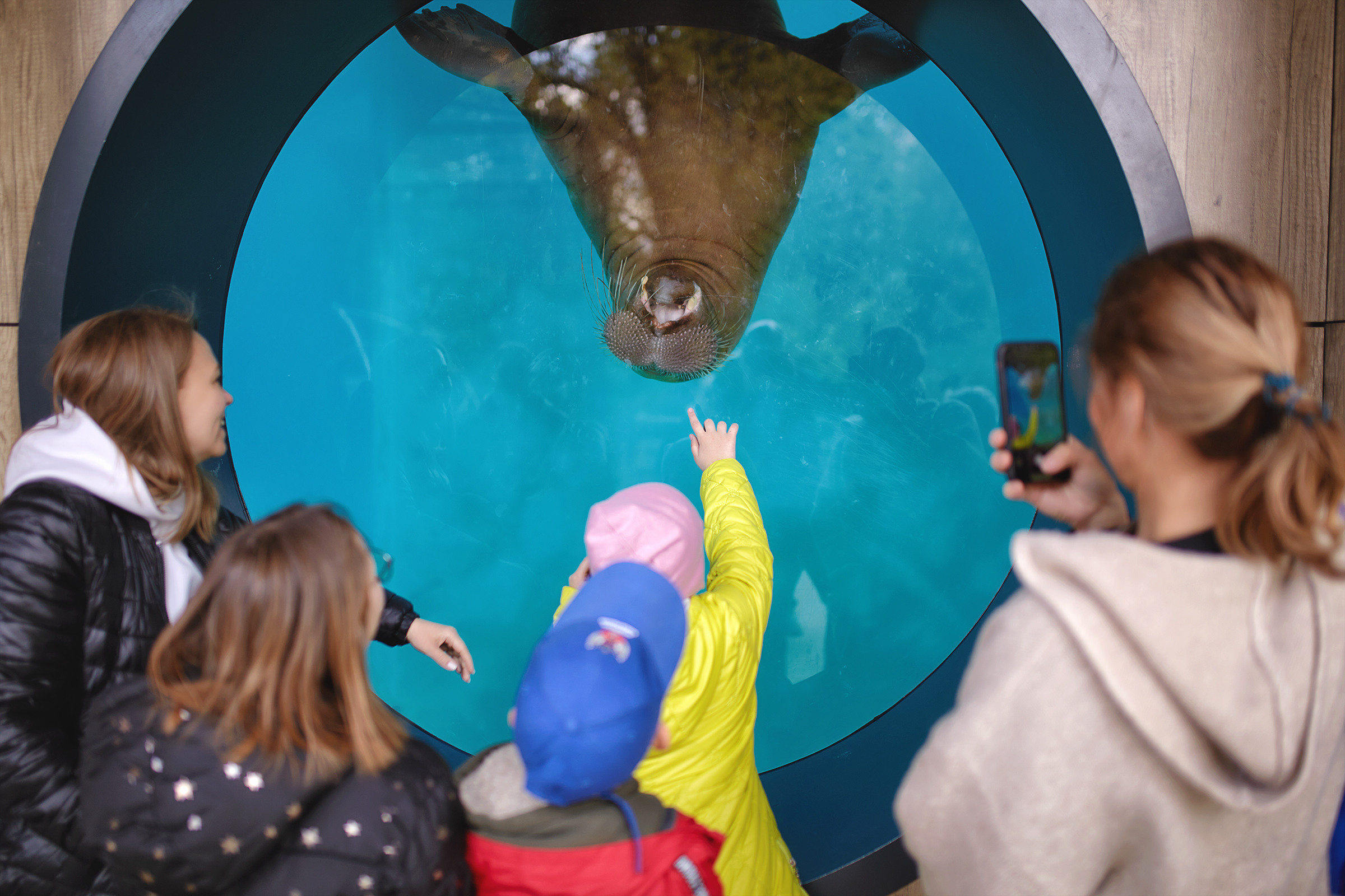 Фотодень с проектом Дети.Про+ в зоопарке. Фотограф Роман Желтухин
