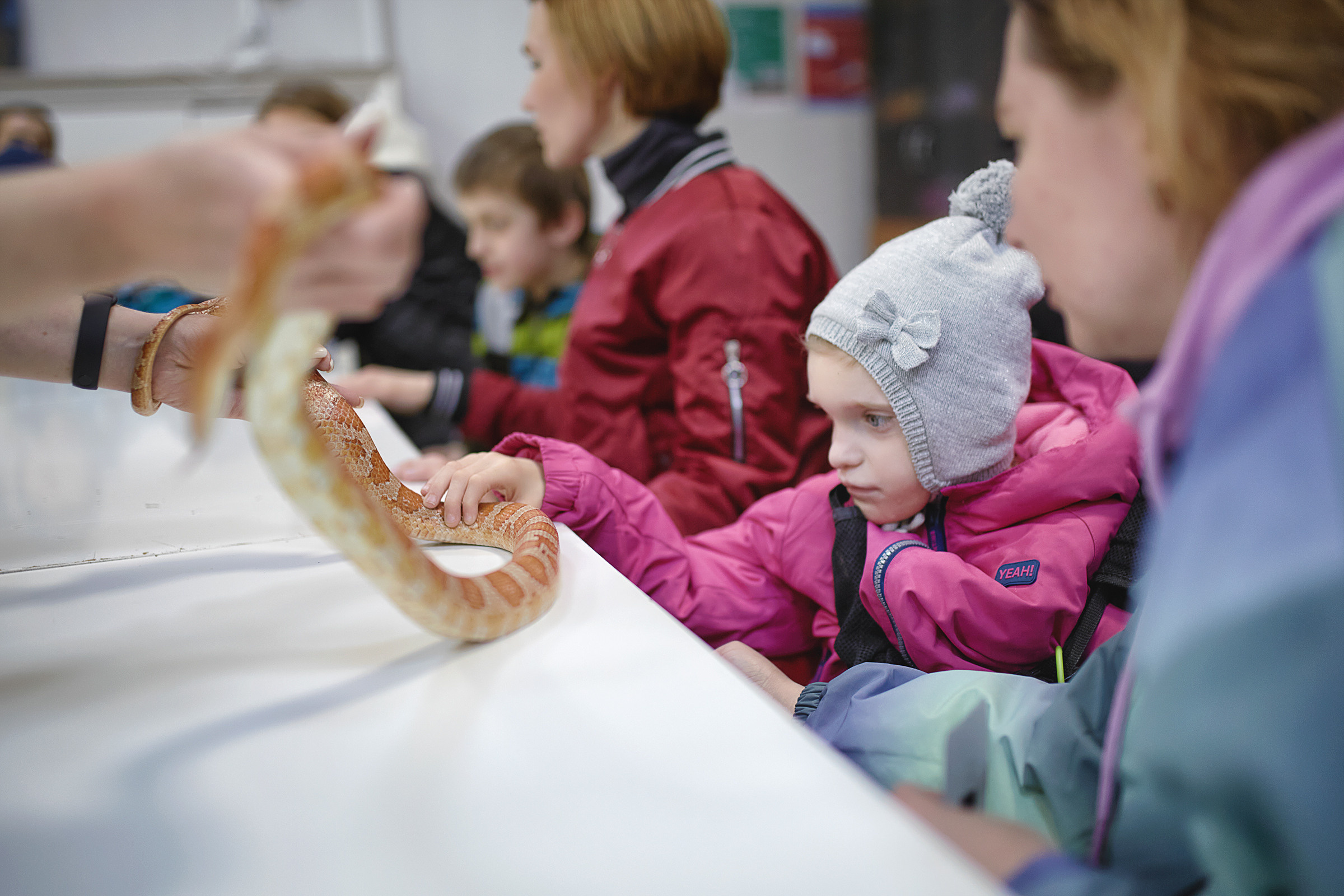 Фотодень с проектом Дети.Про+ в зоопарке. Фотограф Роман Желтухин