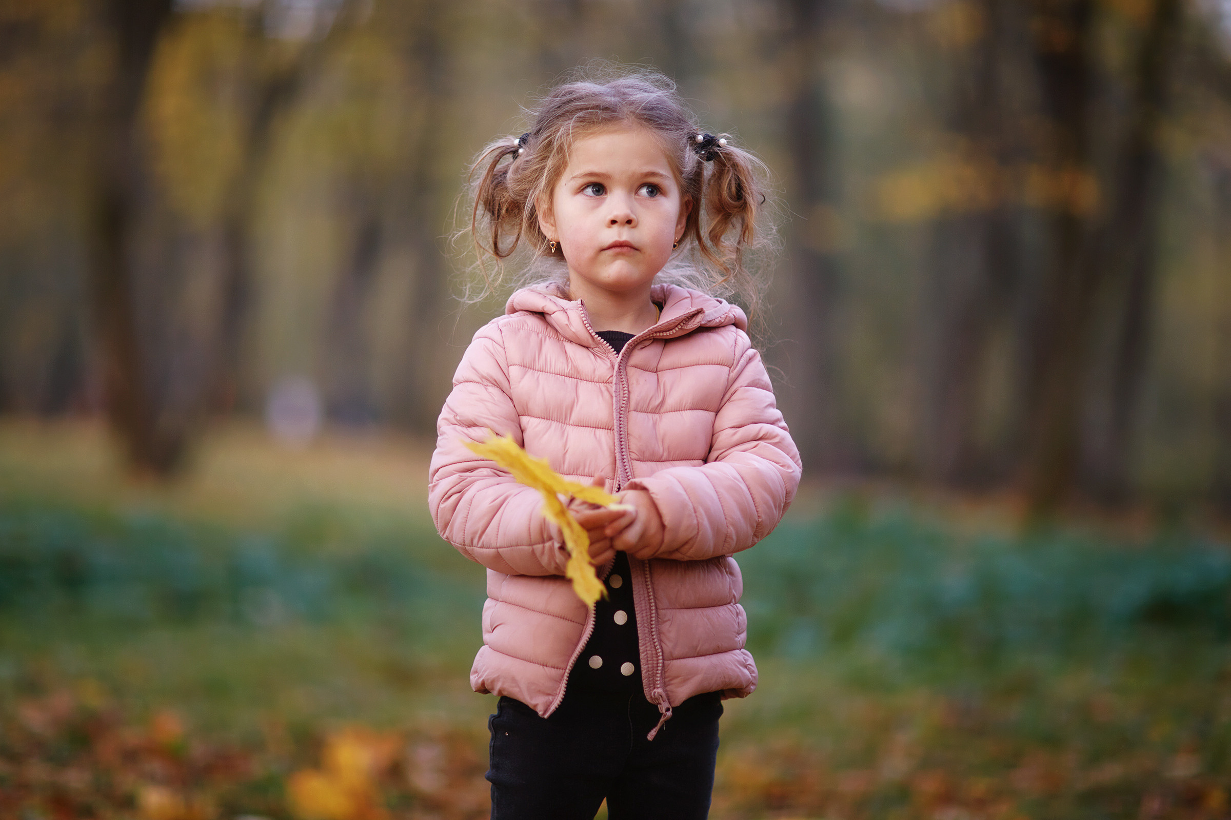 2+3. Фотограф Роман Желтухин