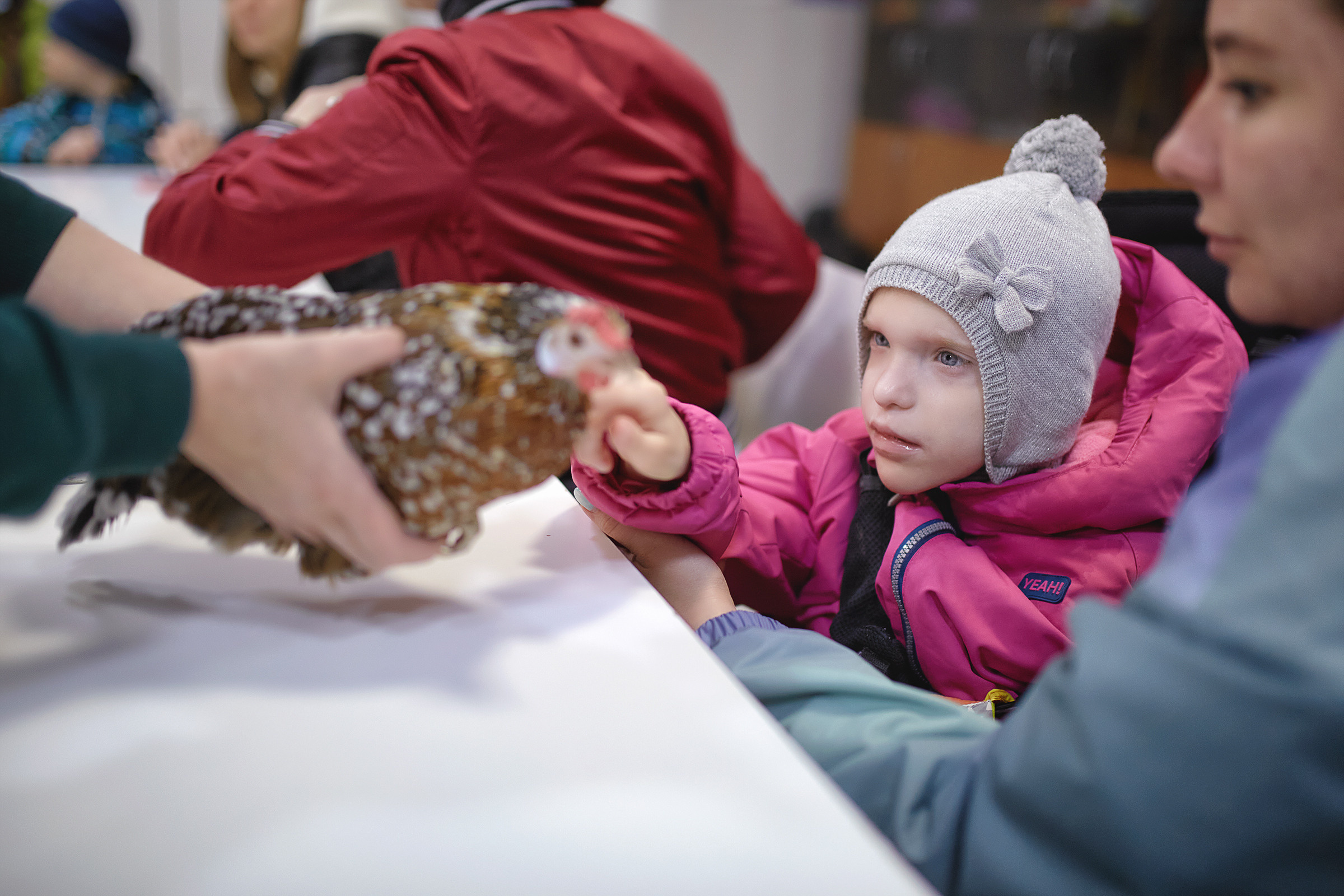 Фотодень с проектом Дети.Про+ в зоопарке. Фотограф Роман Желтухин