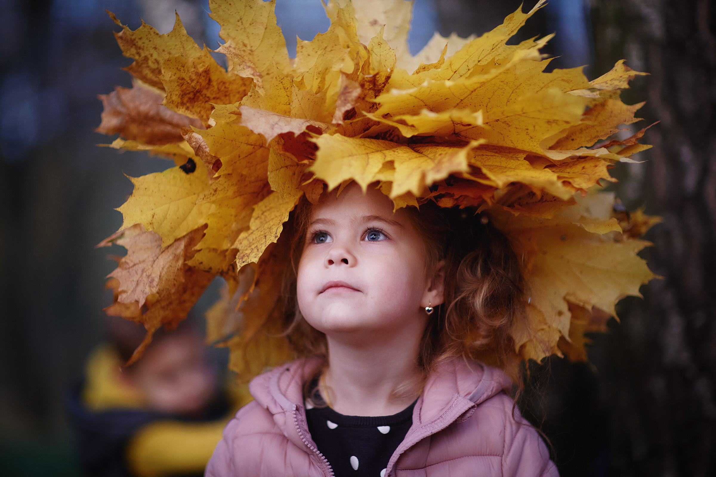2+3. Фотограф Роман Желтухин