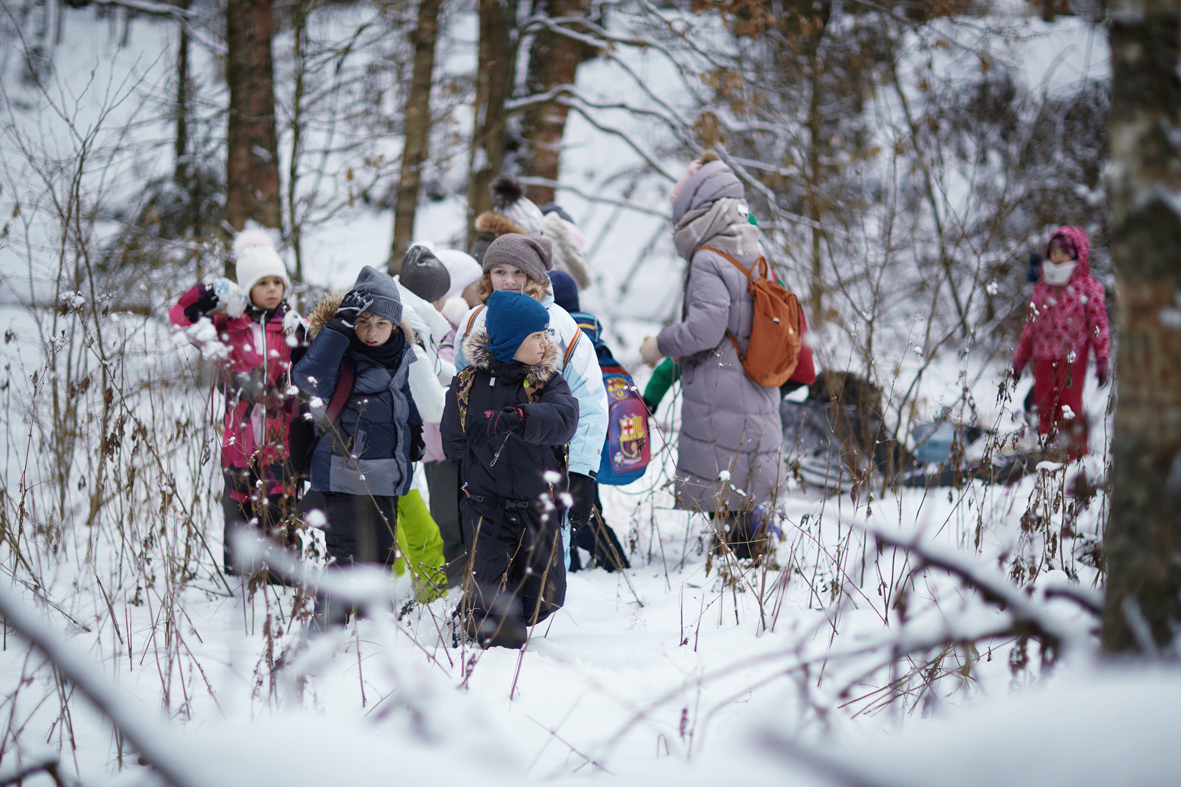 Короткий зимний поход в лес (04.01.2021). Фотограф Роман Желтухин