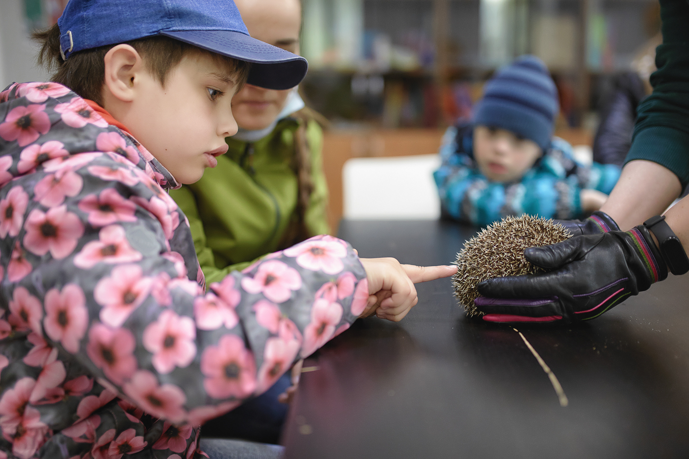 Фотодень с проектом Дети.Про+ в зоопарке. Фотограф Роман Желтухин