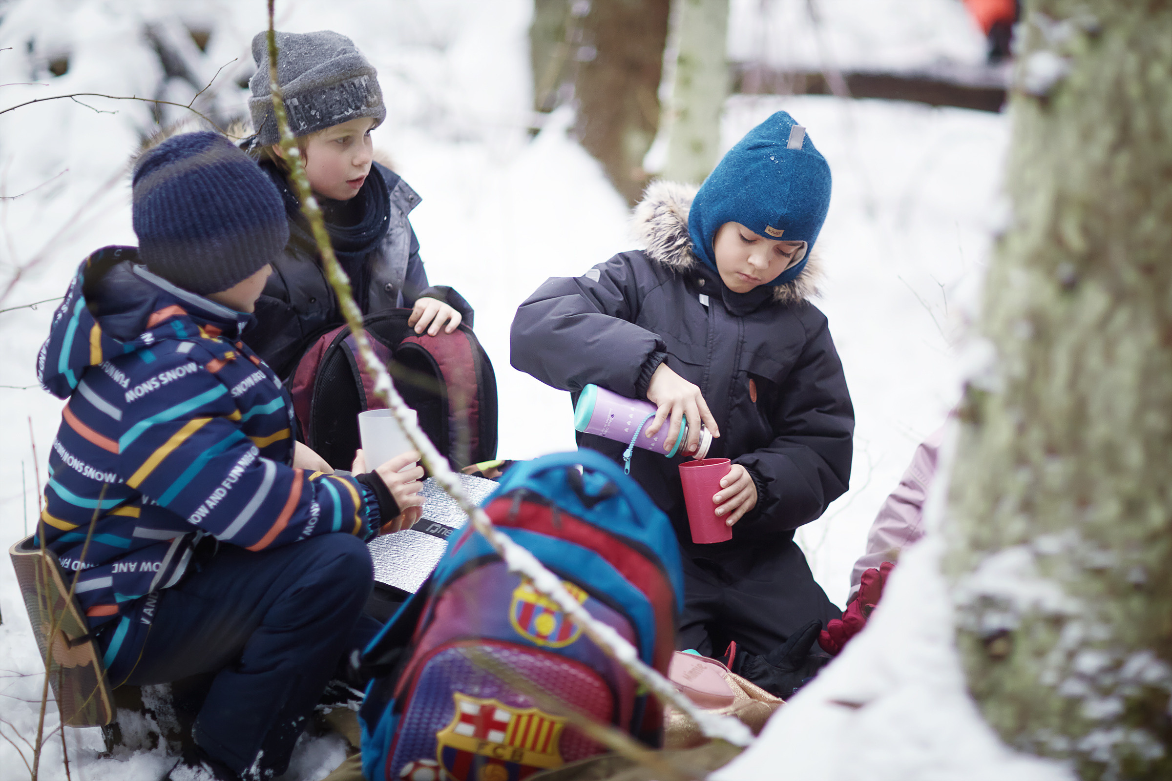 Короткий зимний поход в лес (04.01.2021). Фотограф Роман Желтухин