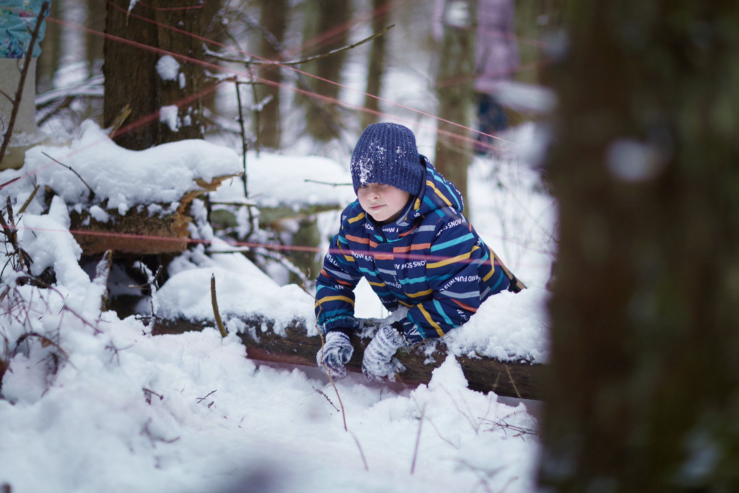 Короткий зимний поход в лес (04.01.2021). Фотограф Роман Желтухин
