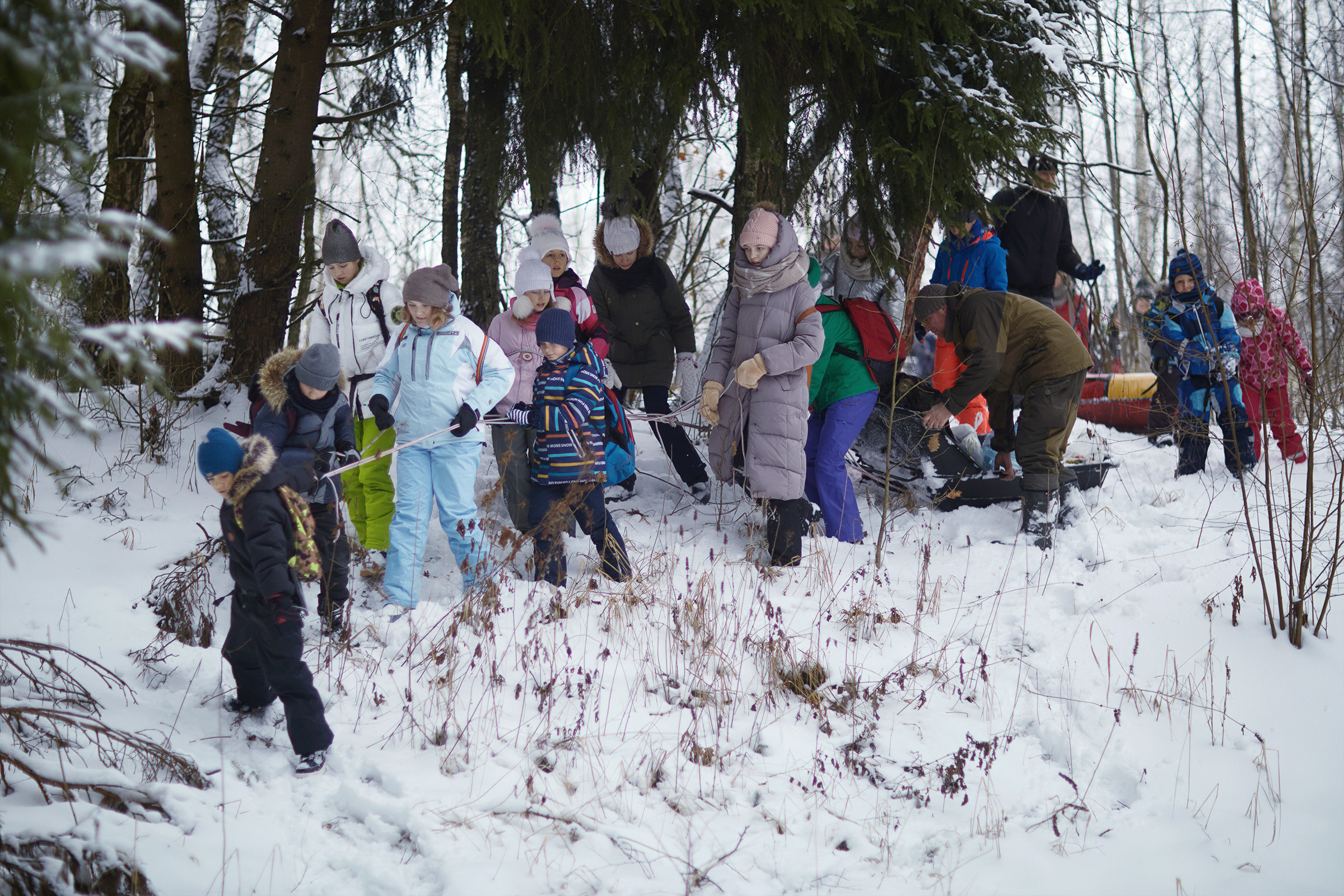Короткий зимний поход в лес (04.01.2021). Фотограф Роман Желтухин