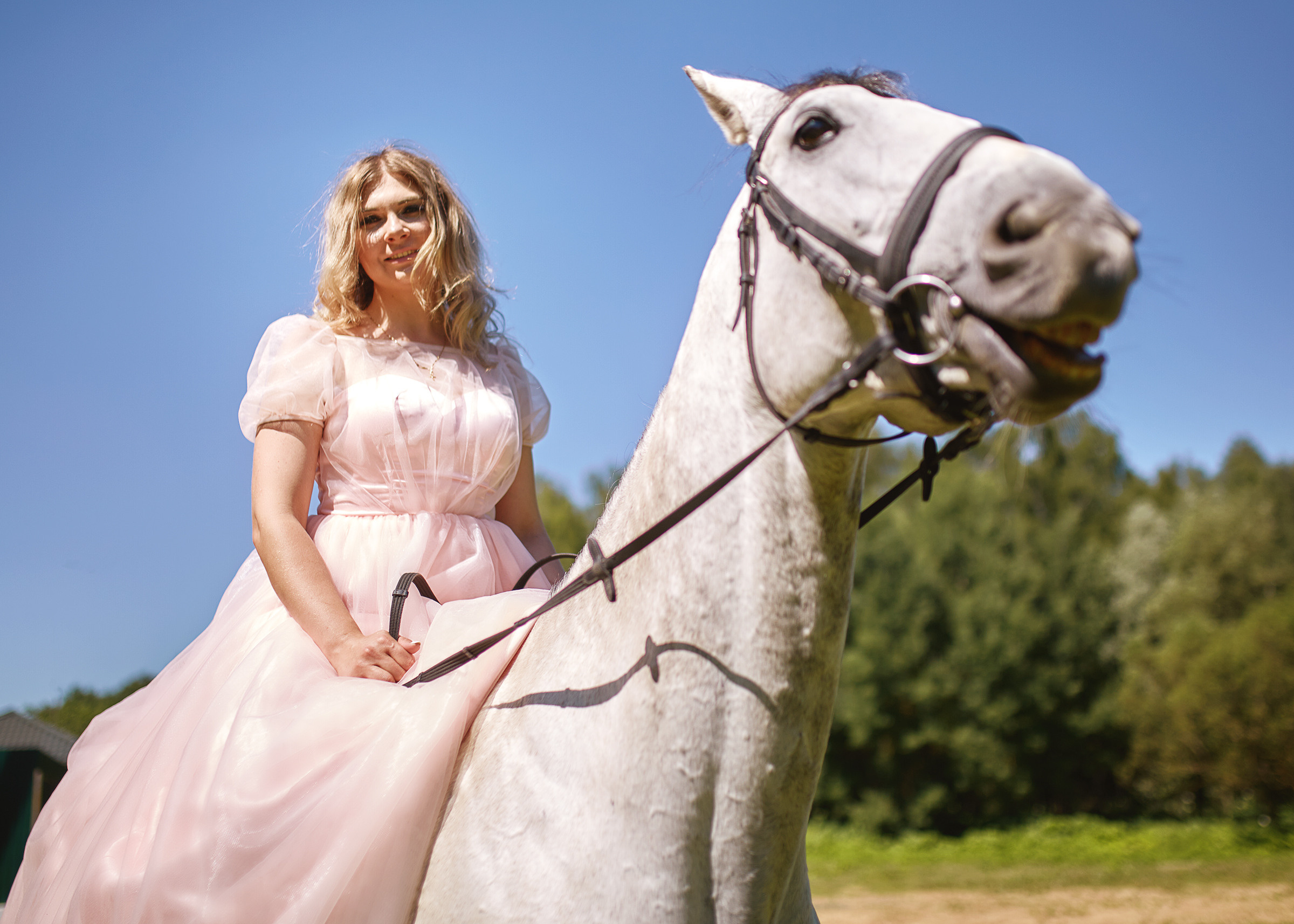 Нравятся ли девочкам лошадки? (Часть 2). Фотограф Роман Желтухин