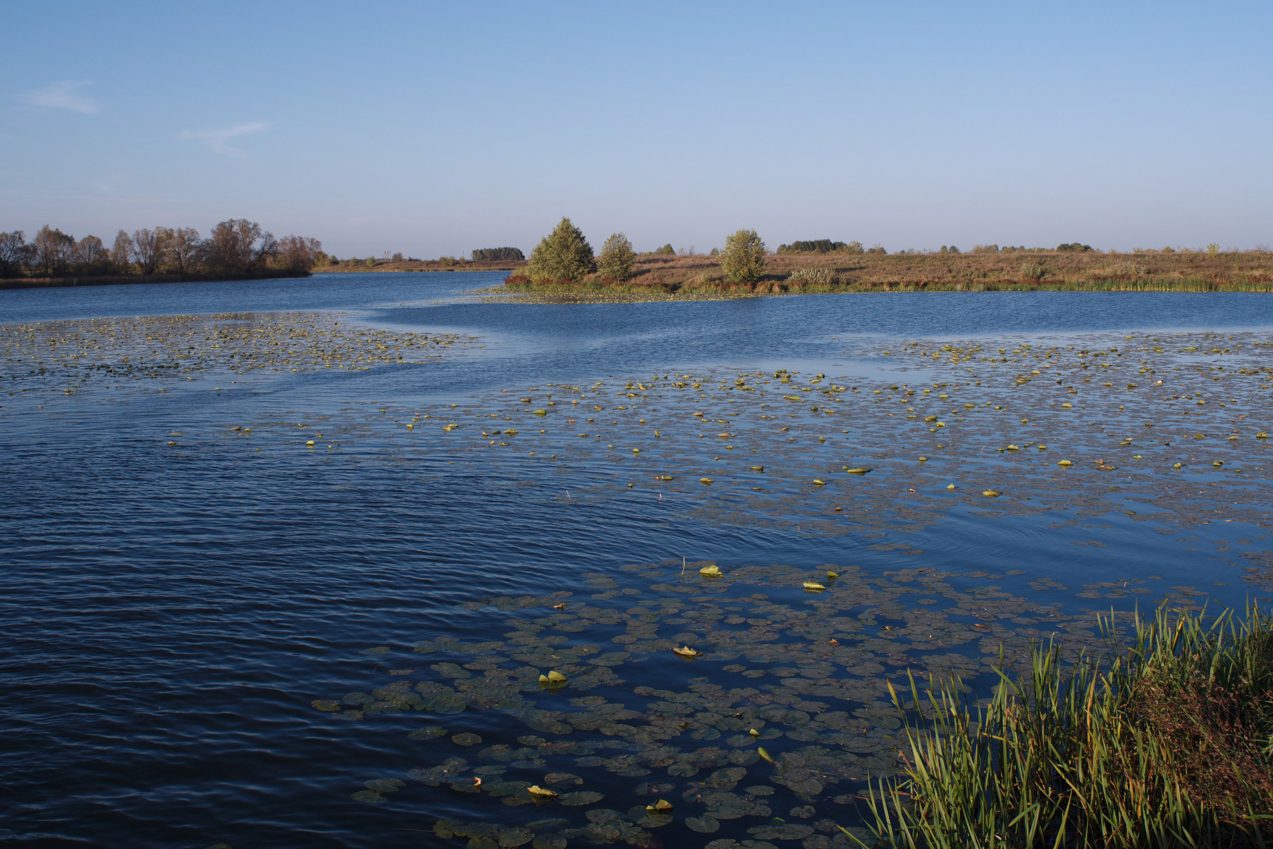 Water Path. Dmitry Ermakov. Documentary photographer