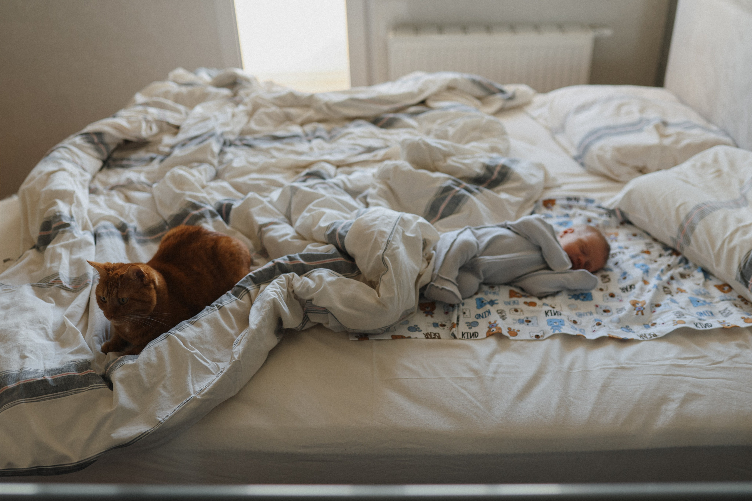 Максим🤍. Фотограф на роды в Санкт-Петербурге, семейный, нью-борн Алиса Хрекова