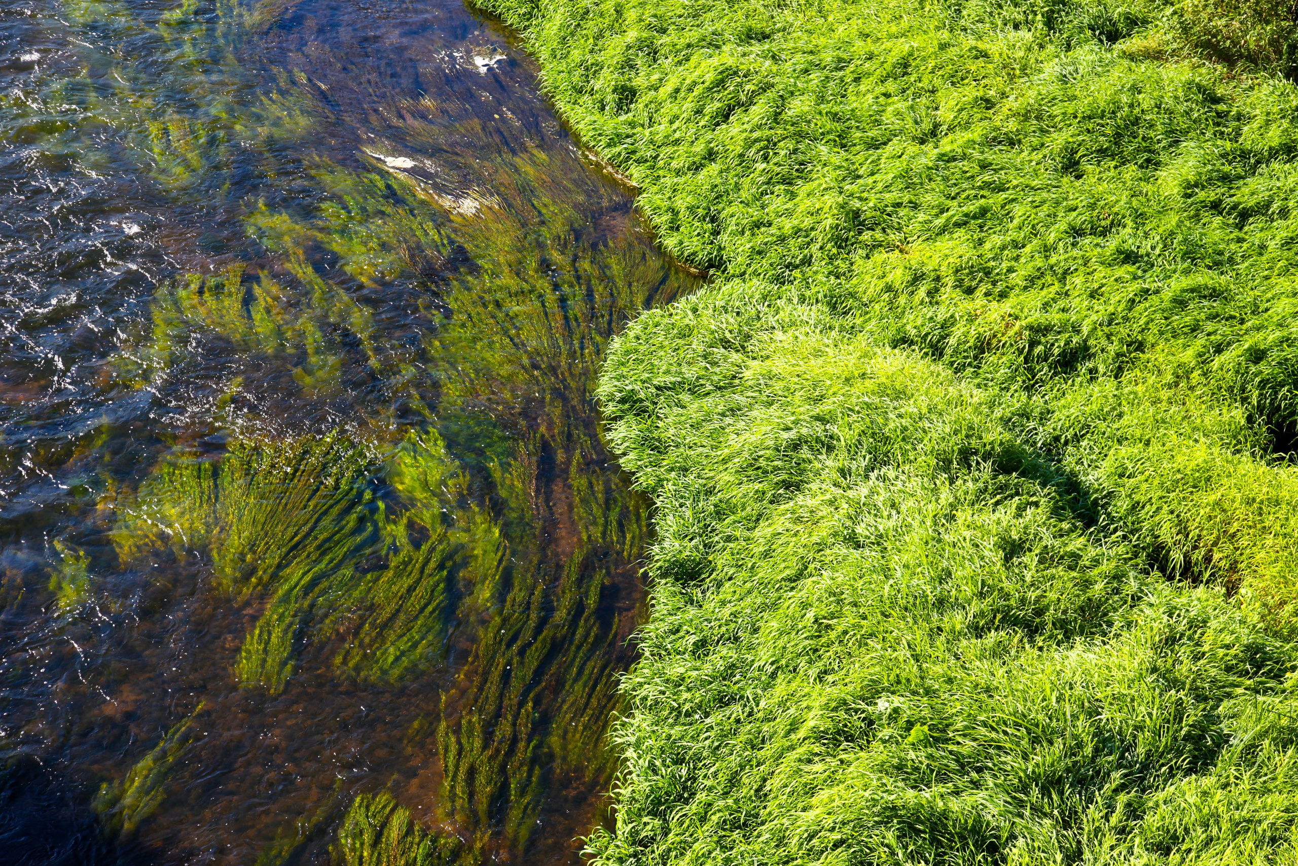 Разное. Niki Kohmansky Портретный фотограф Москва