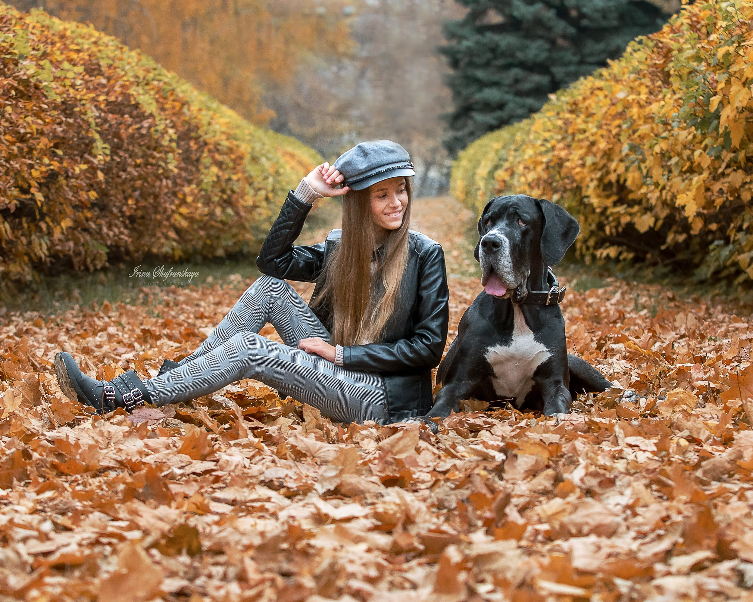 Фотопроект «4 лапки». Репортажный фотограф в Москве