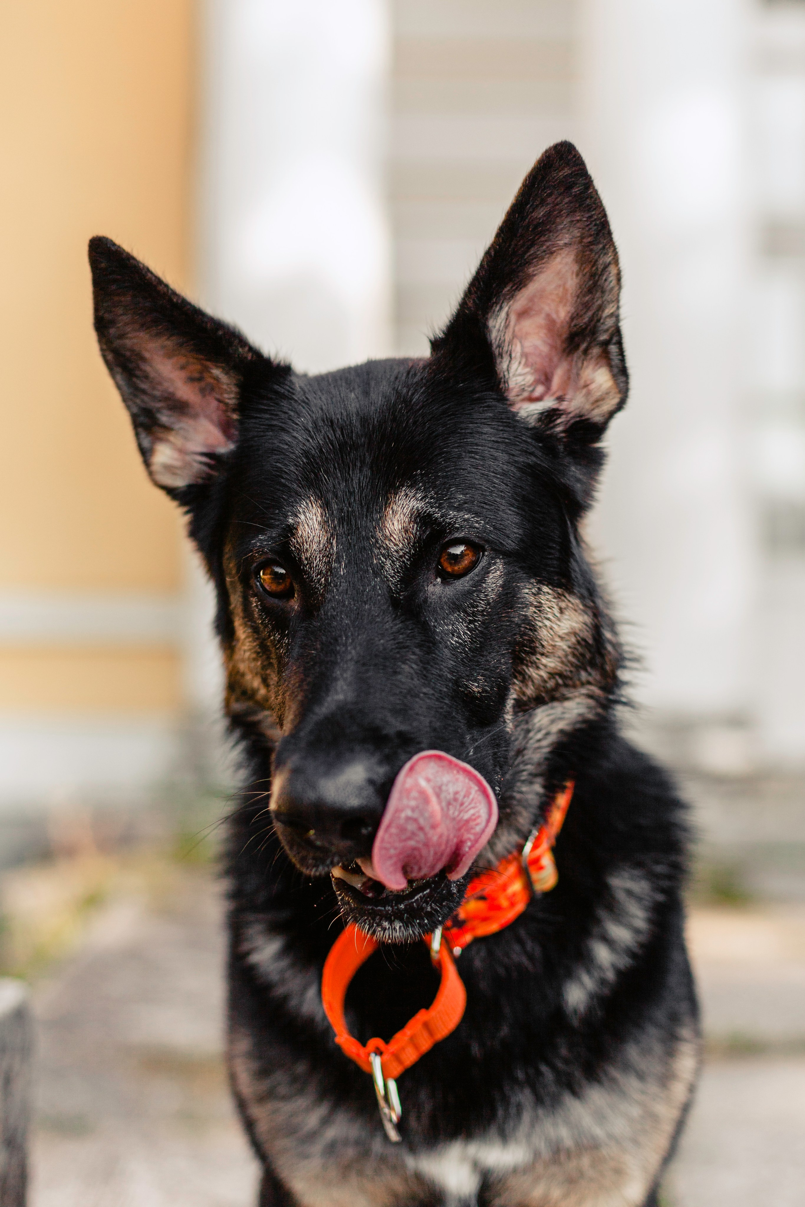 Илай. Фотограф-анималист Татьяна Степанова