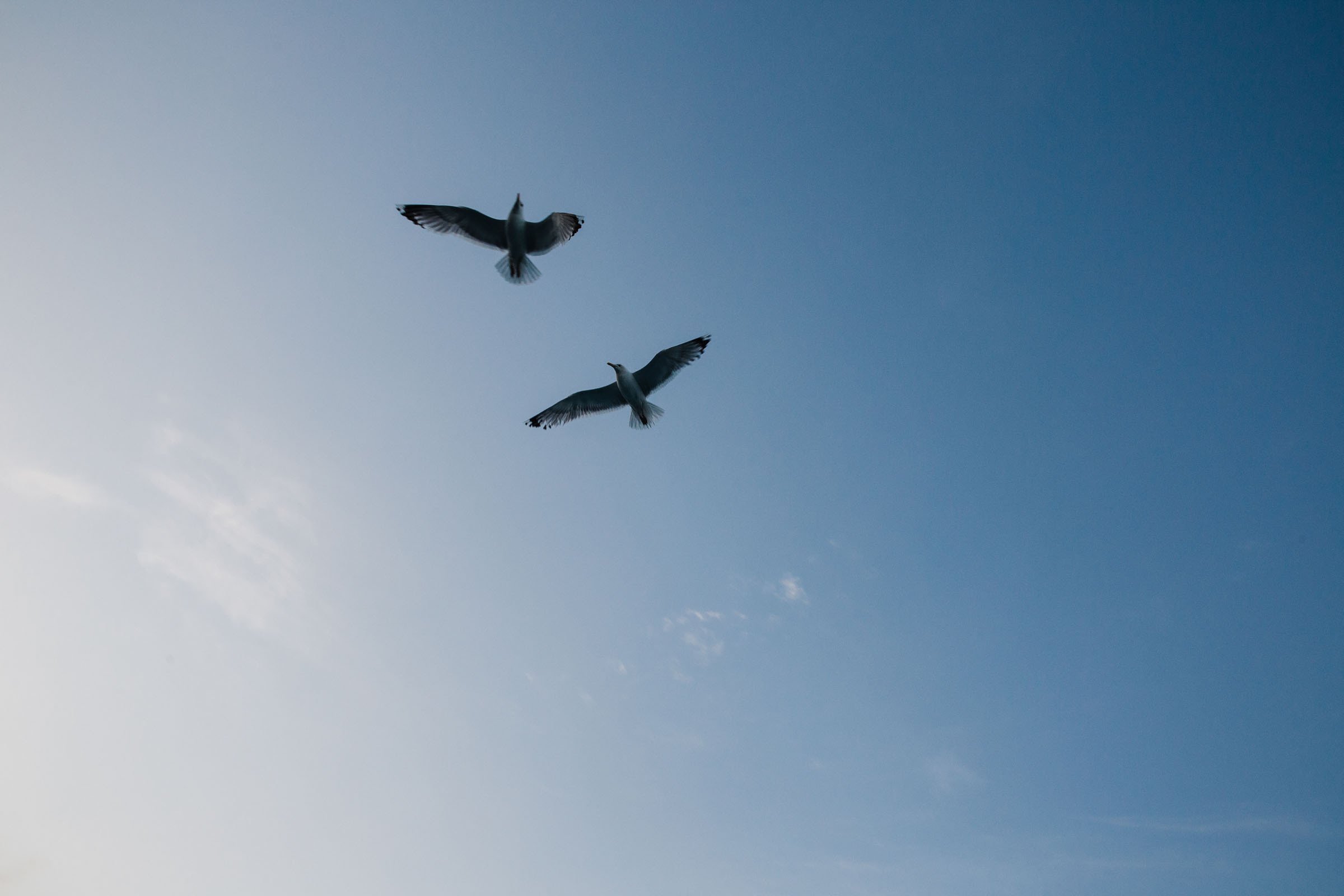 Рыбаки. Фотограф Алутера Ирина