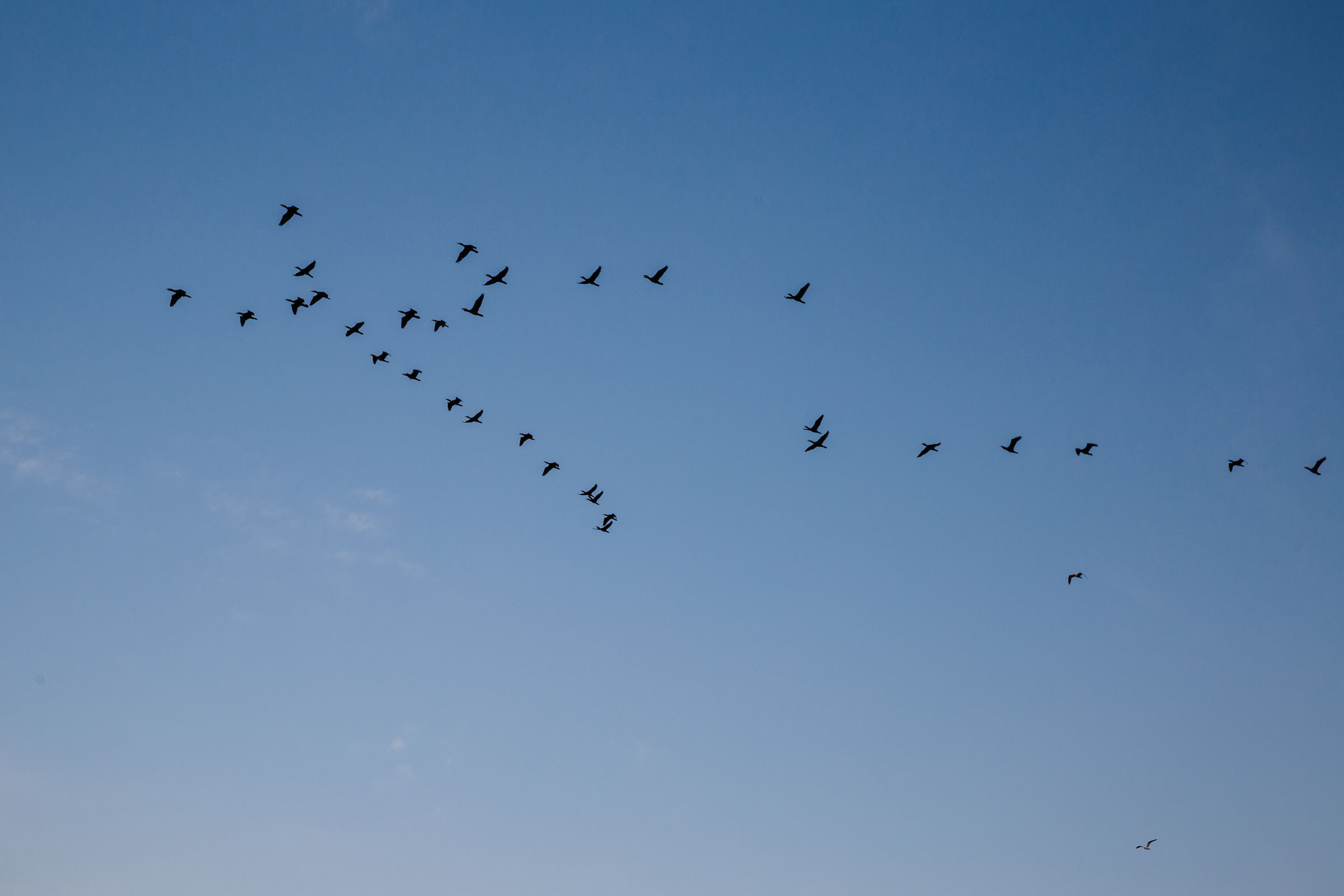 Рыбаки. Фотограф Алутера Ирина