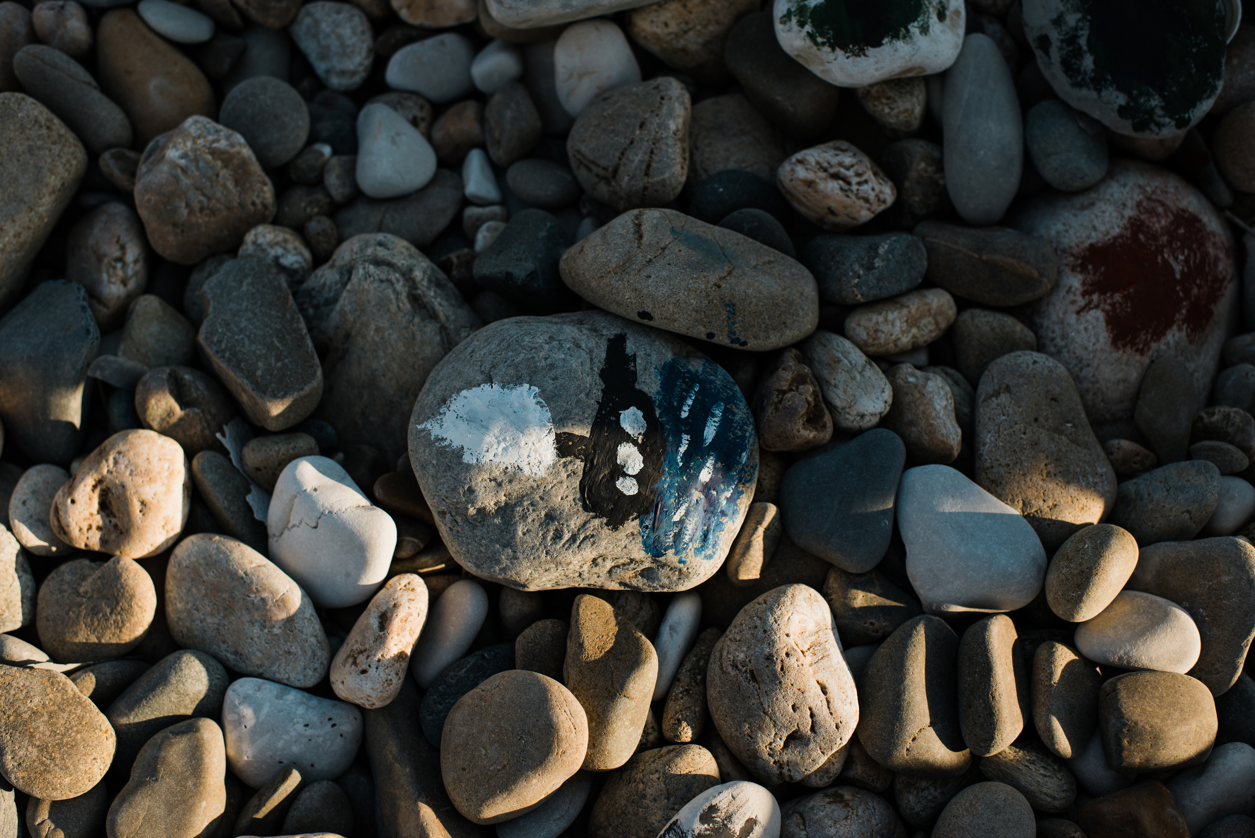 Берег лета // Лина_Саша_Вася. Фотограф Алутера Ирина