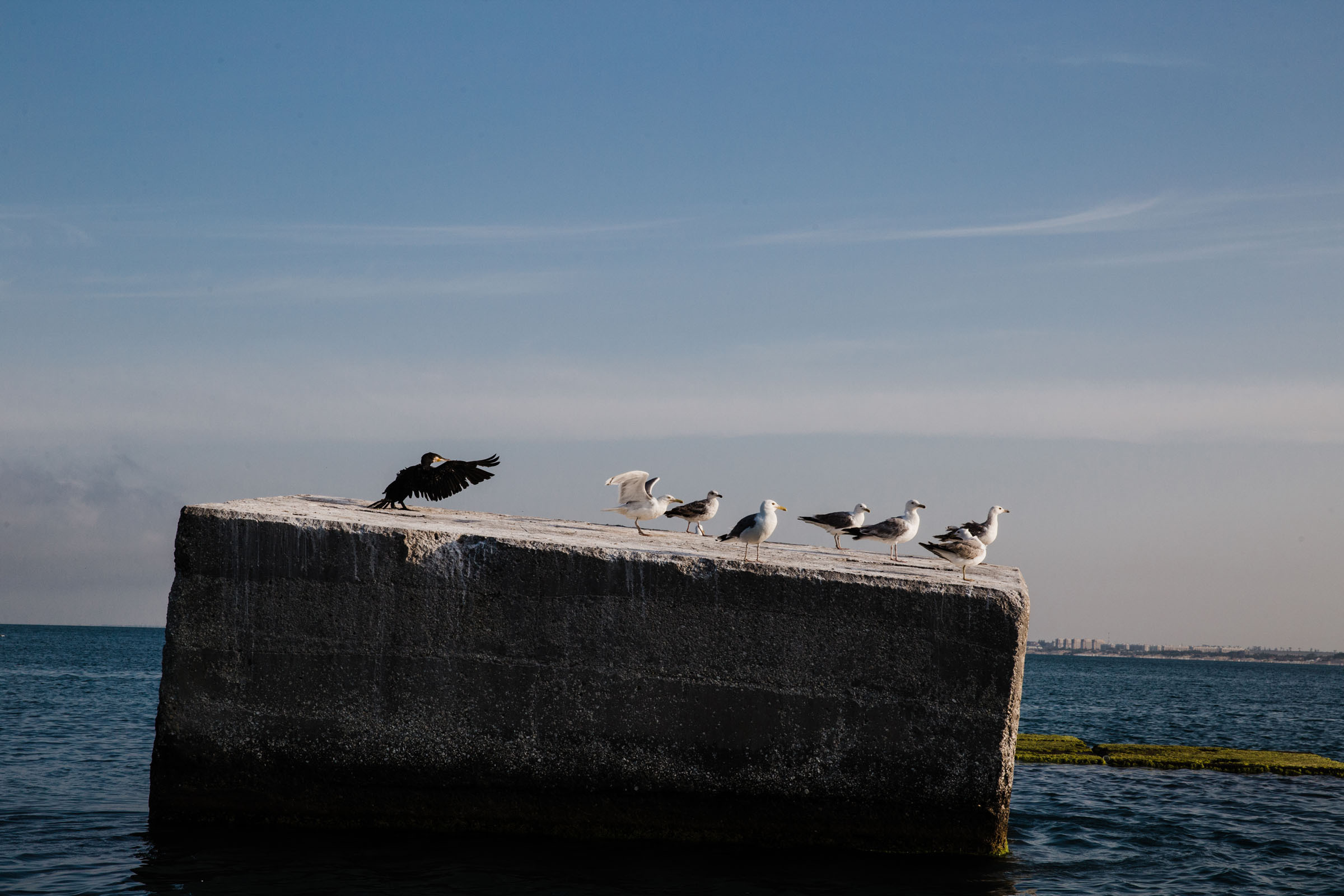 Рыбаки. Фотограф Алутера Ирина