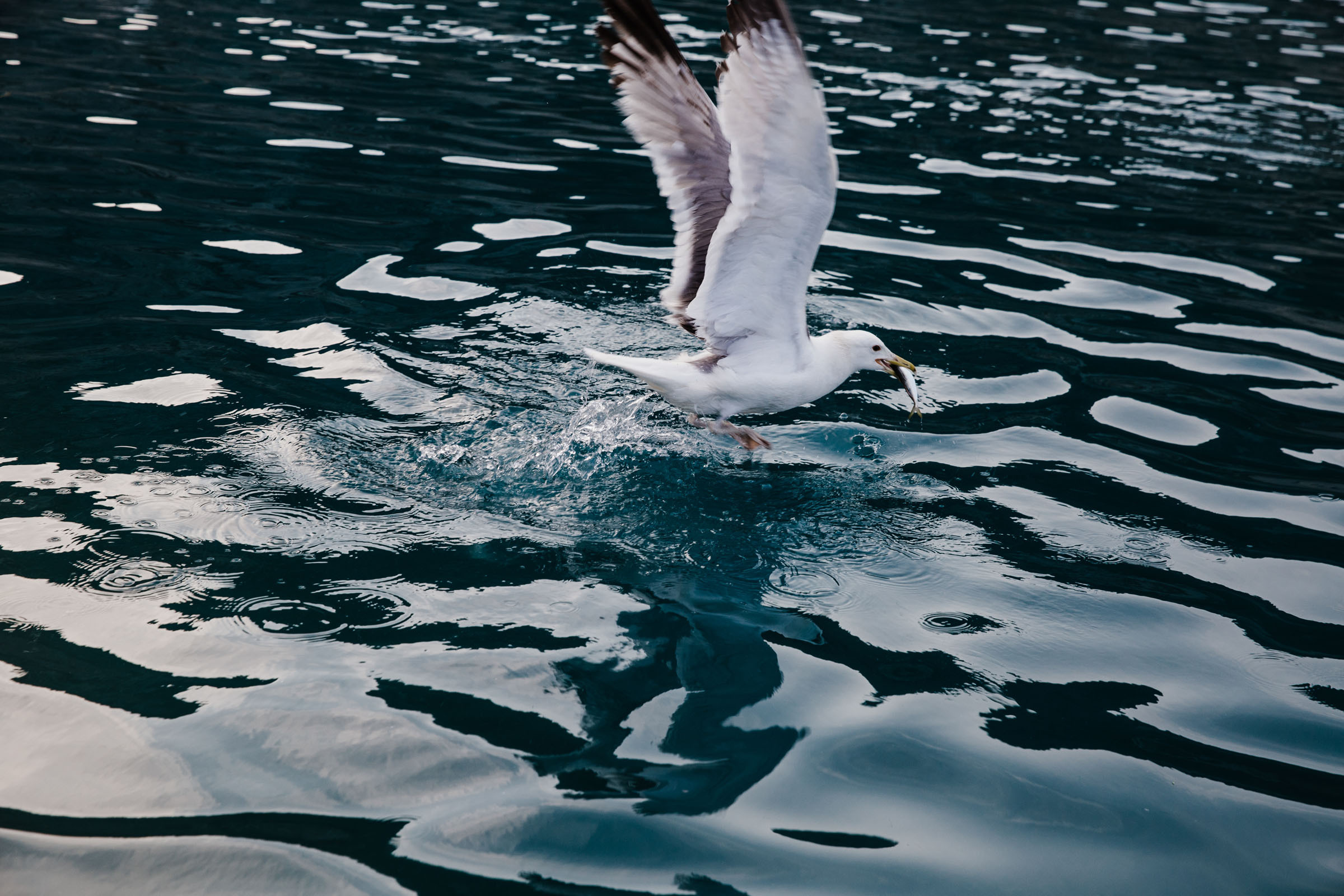 Рыбаки. Фотограф Алутера Ирина