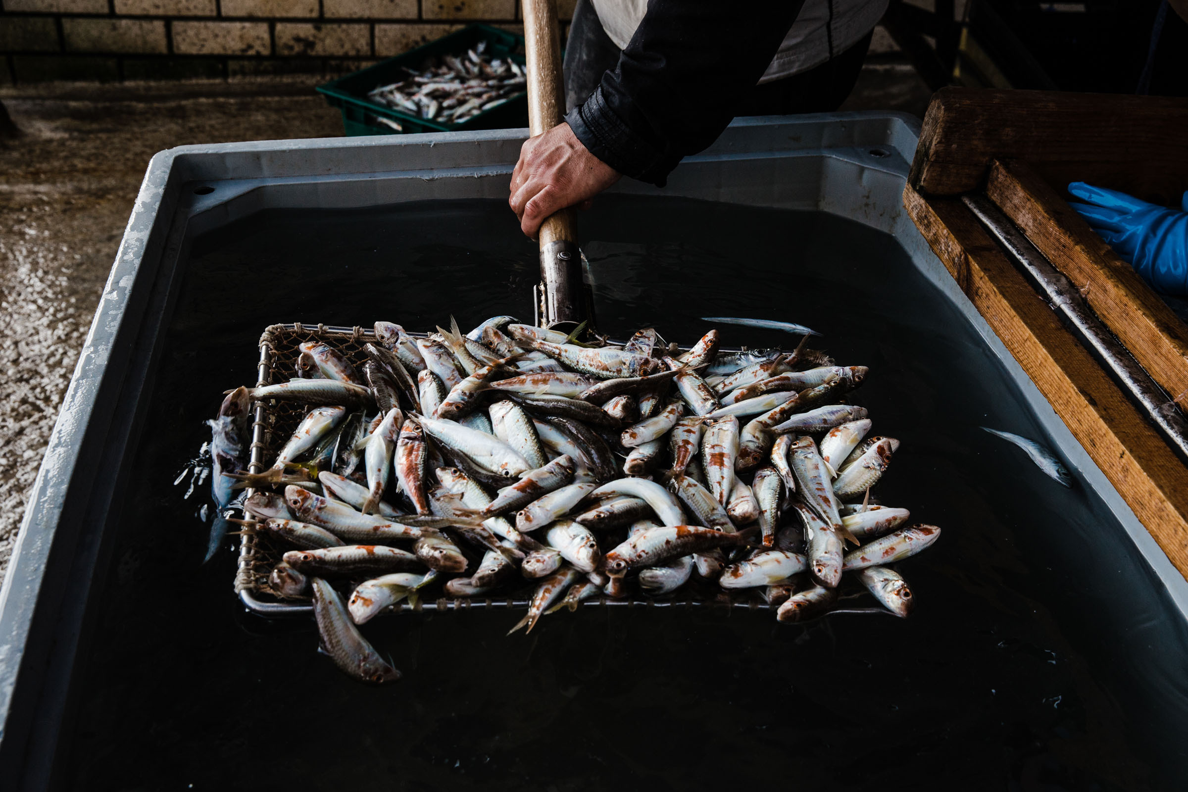 Рыбаки. Фотограф Алутера Ирина