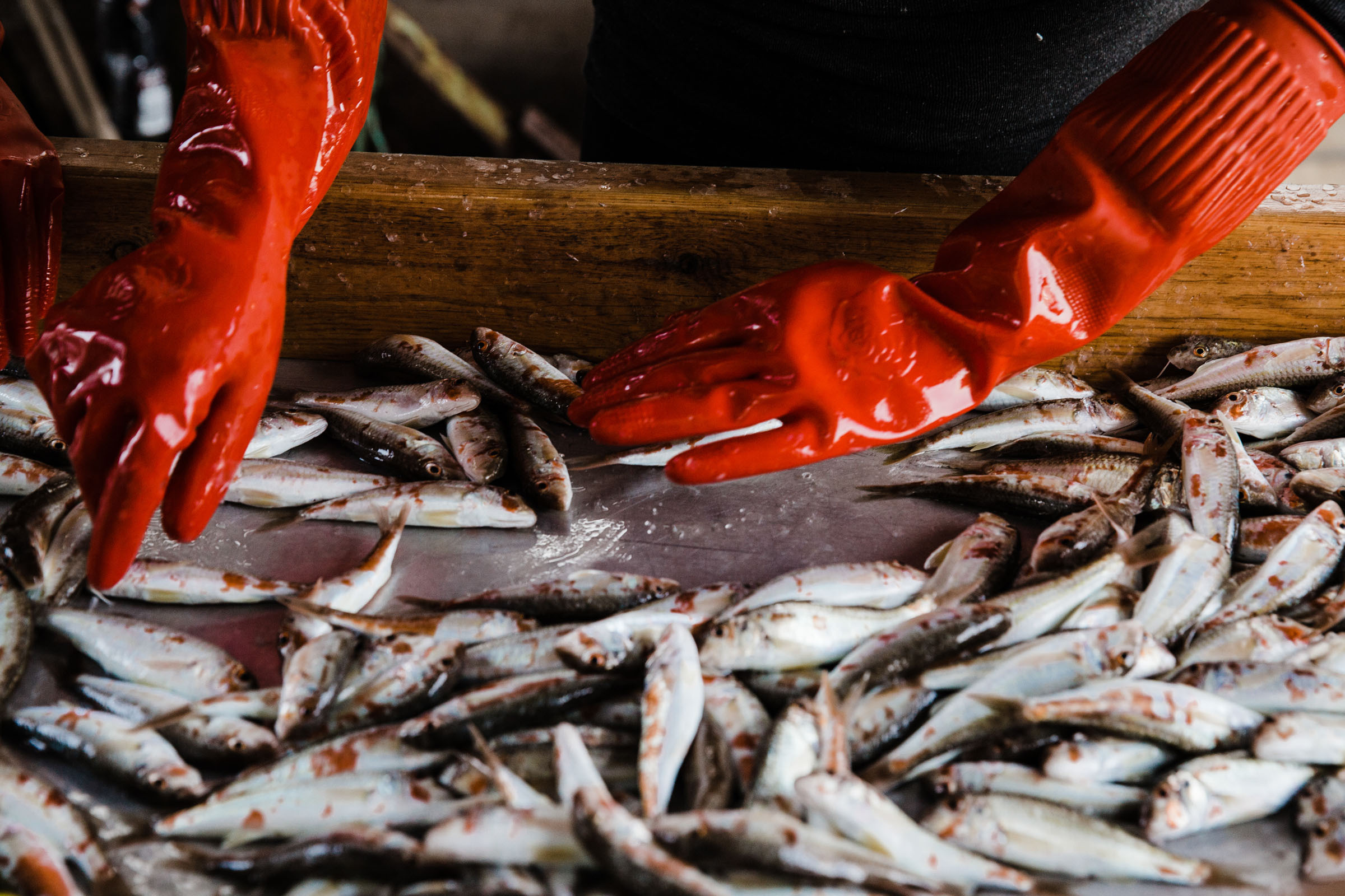 Рыбаки. Фотограф Алутера Ирина