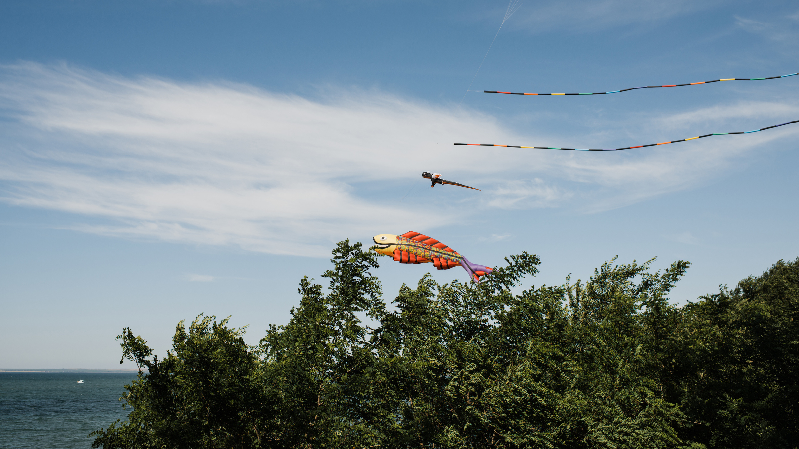 Тамань / Открытие пляжа. Фотограф Алутера Ирина