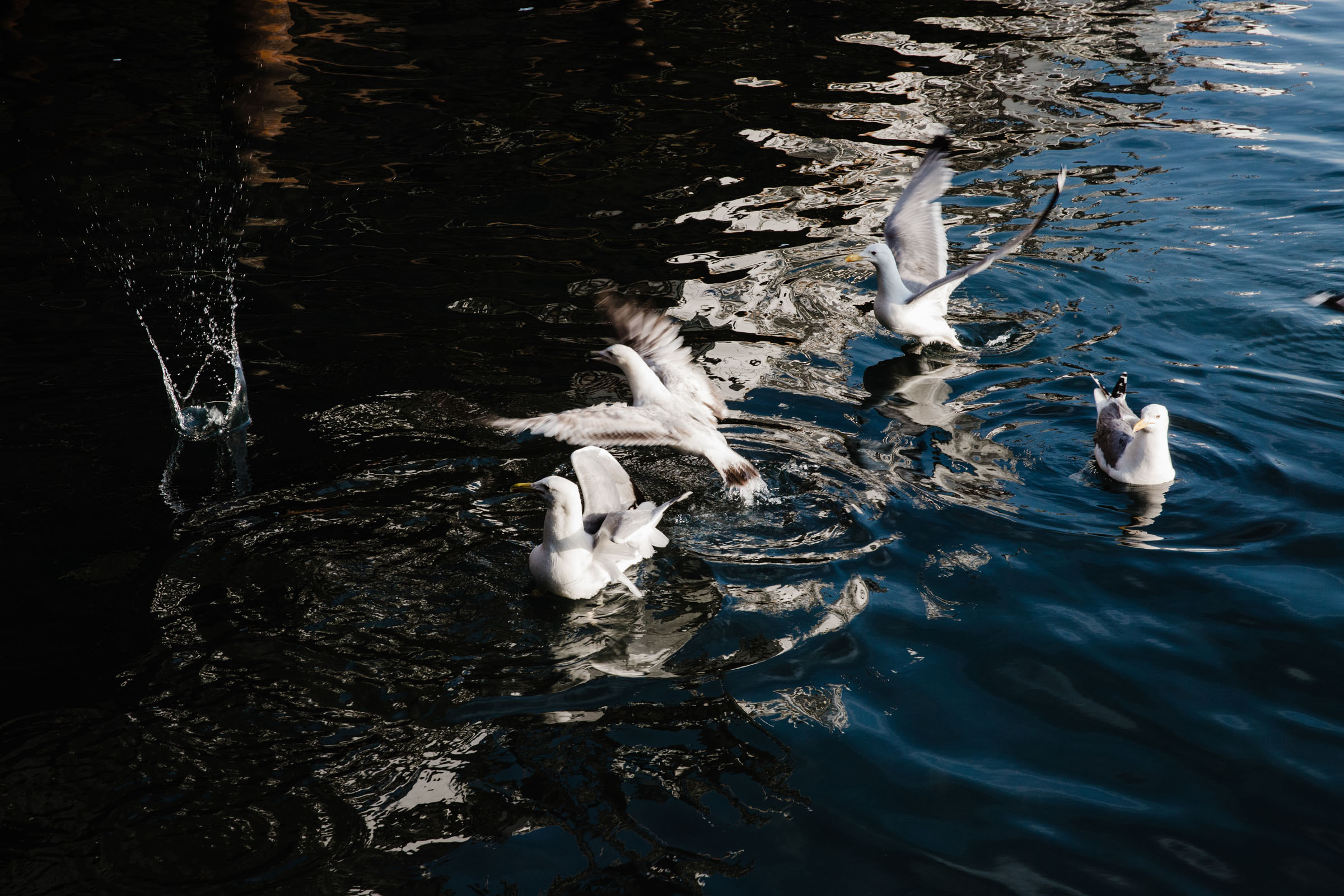 Рыбаки. Фотограф Алутера Ирина