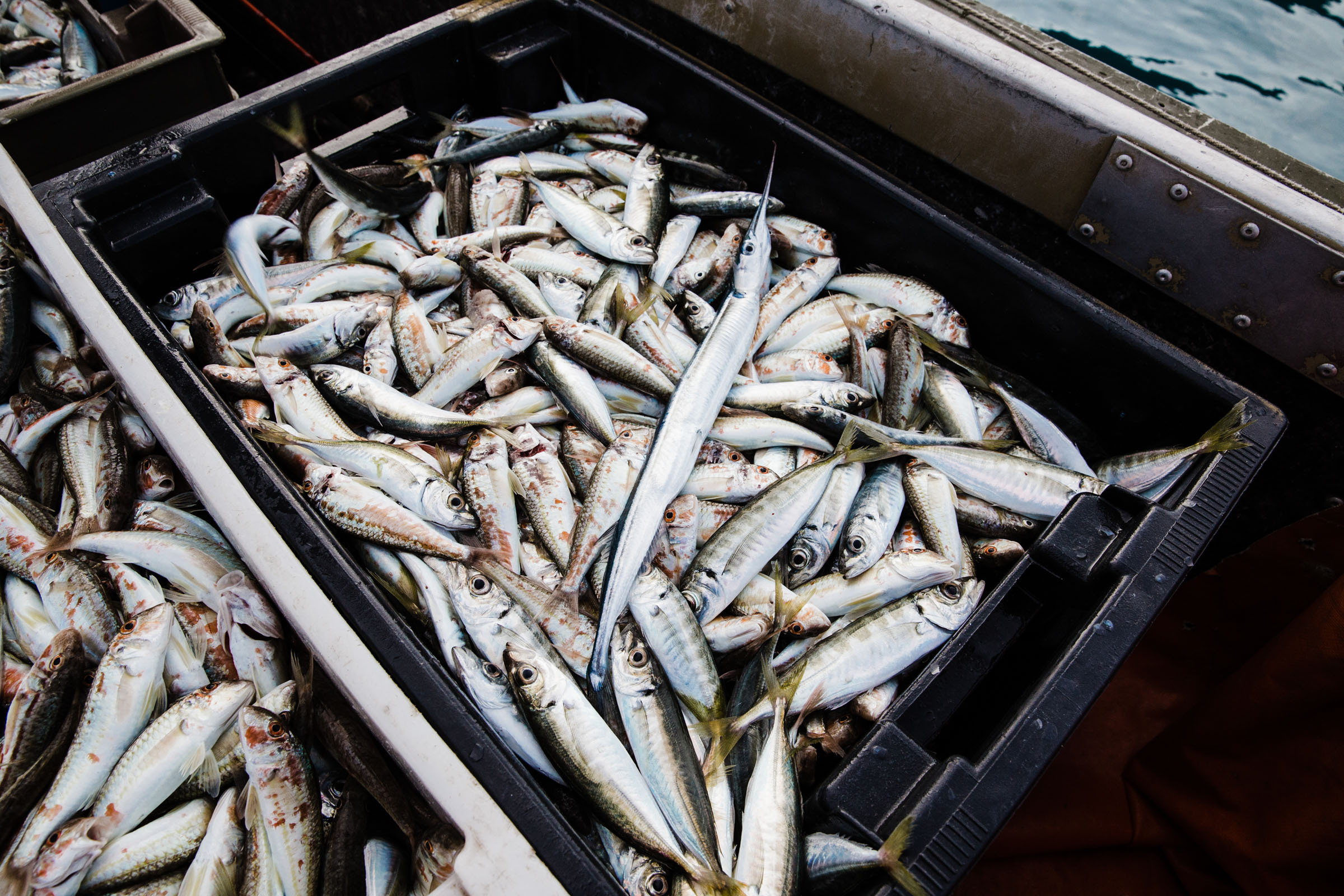 Рыбаки. Фотограф Алутера Ирина