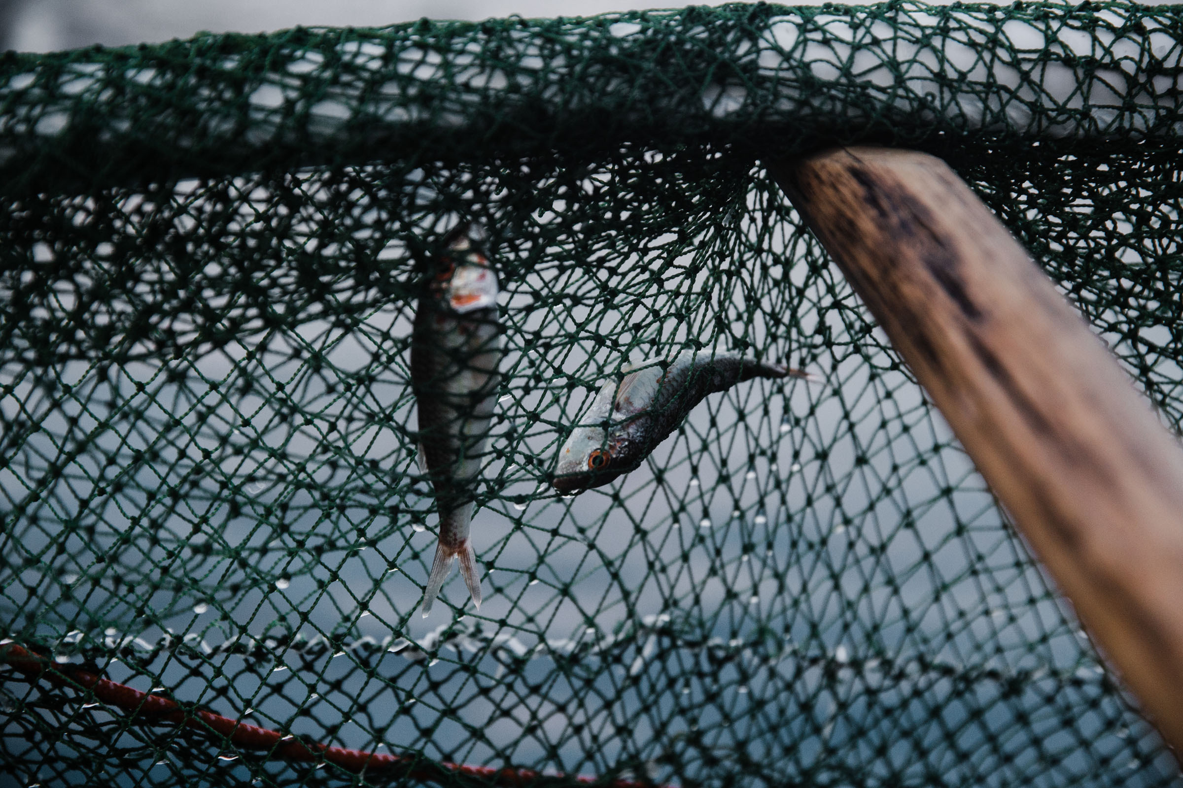 Рыбаки. Фотограф Алутера Ирина
