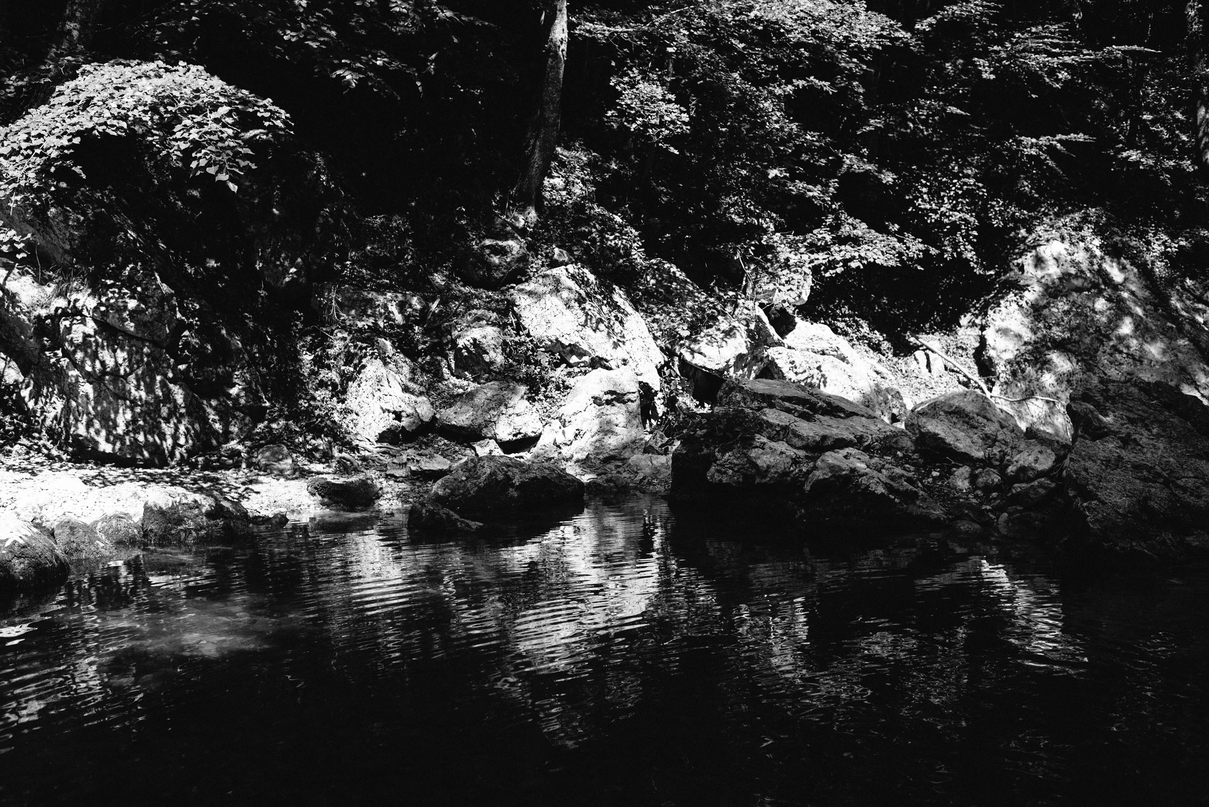 Селена. Фотограф Алутера Ирина