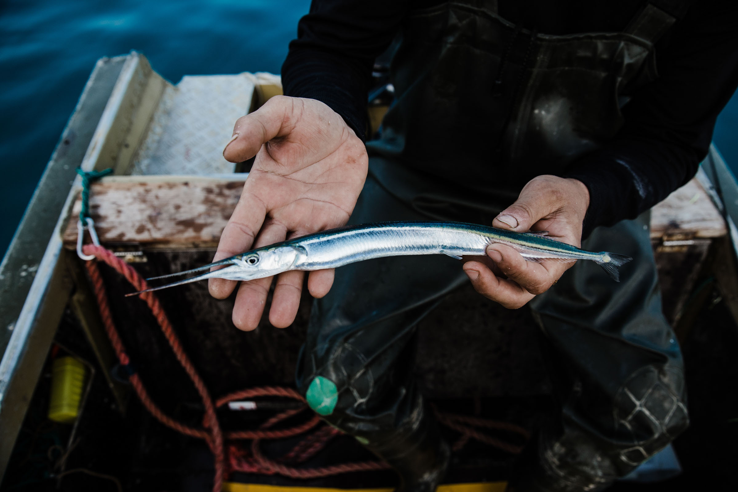Рыбаки. Фотограф Алутера Ирина