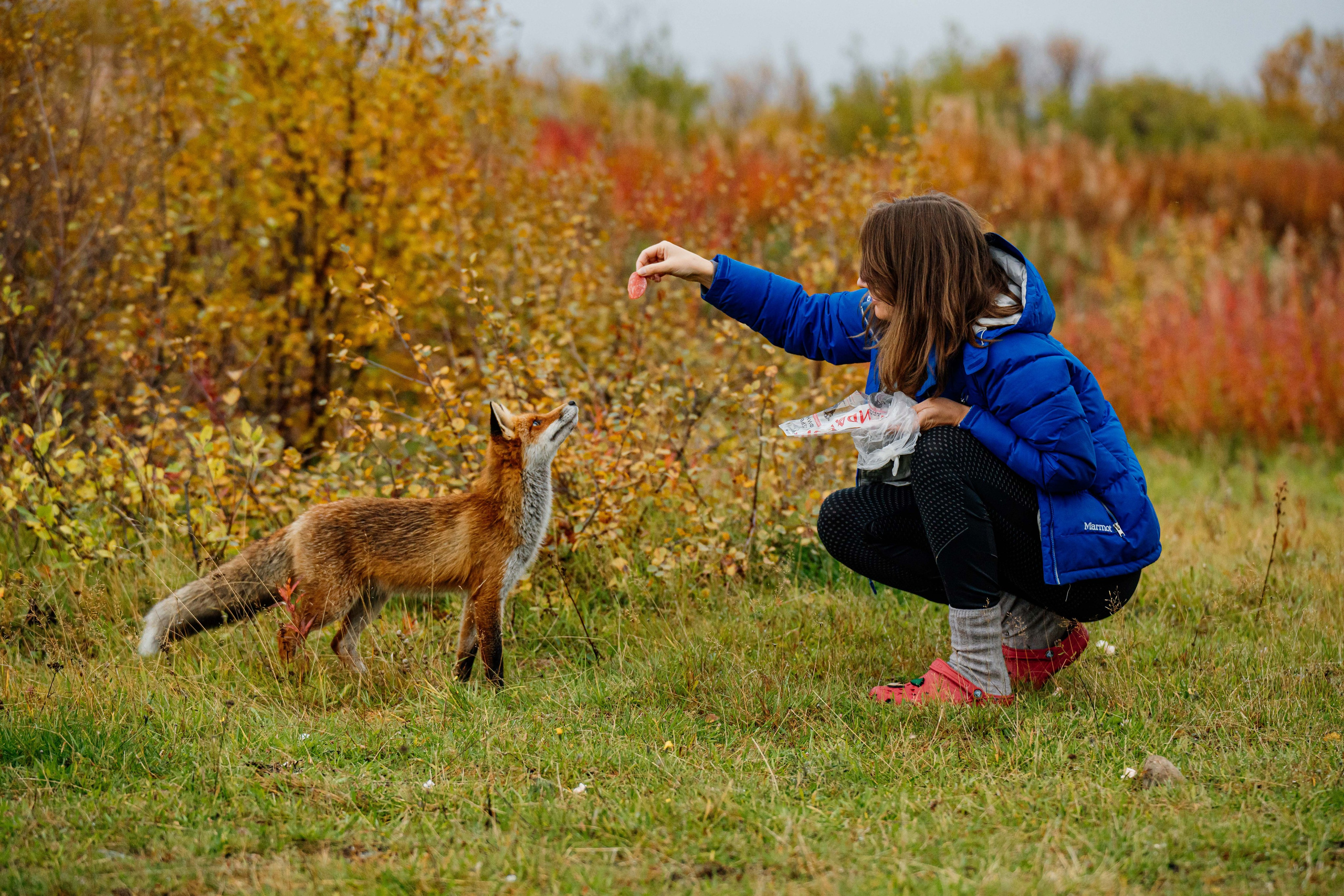 СЕВЕР. Event фотограф Степанова Александра