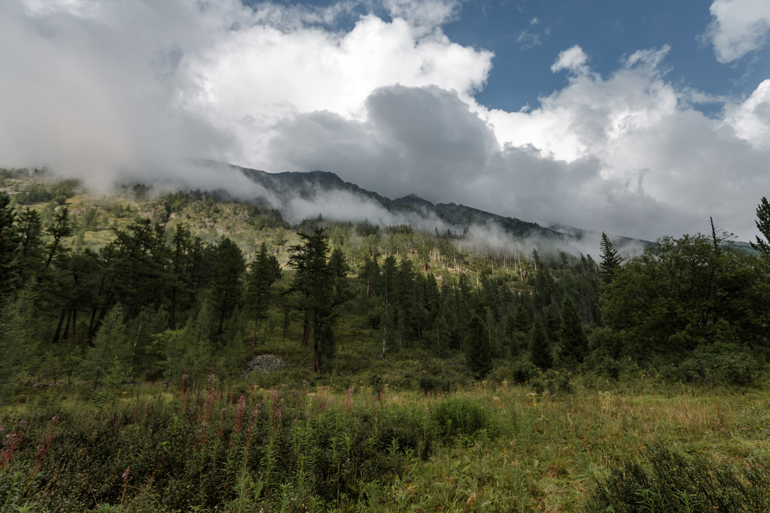 Катунский заповедник, Республика Алтай. Репортажный фотограф в Крыму Ксения Гасица