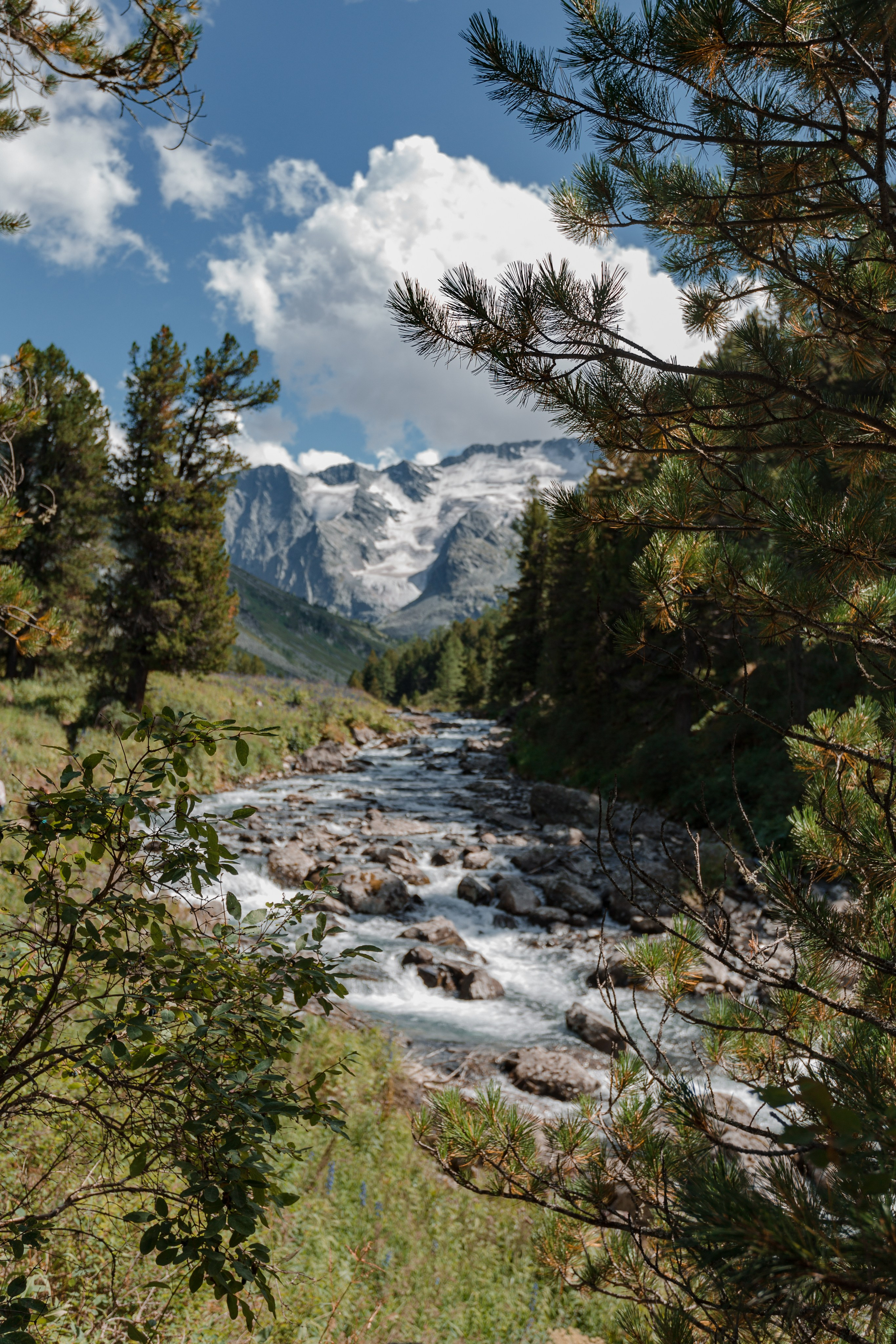 Катунский заповедник, Республика Алтай. Репортажный фотограф в Крыму Ксения Гасица