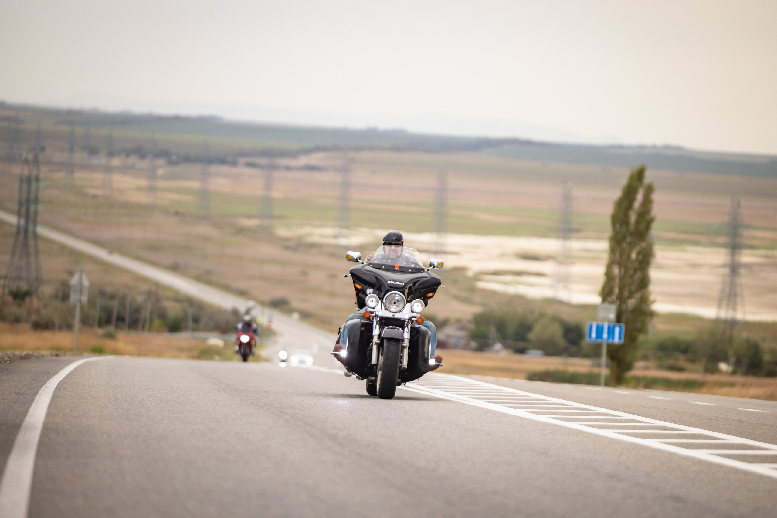 Южное Сафари в Тамани. Сентябрь 2024. Фотограф Владимир Охрименко