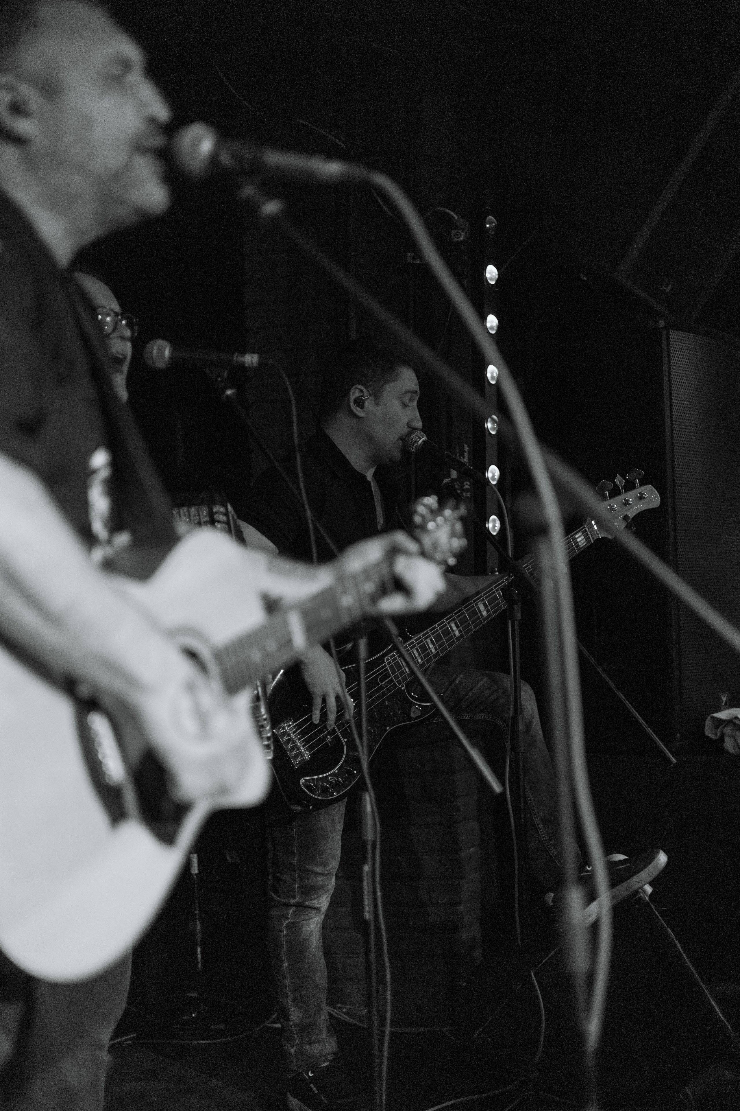 Анимация (17.05.2024). Toxasnip Photo | Anton Maslenkin