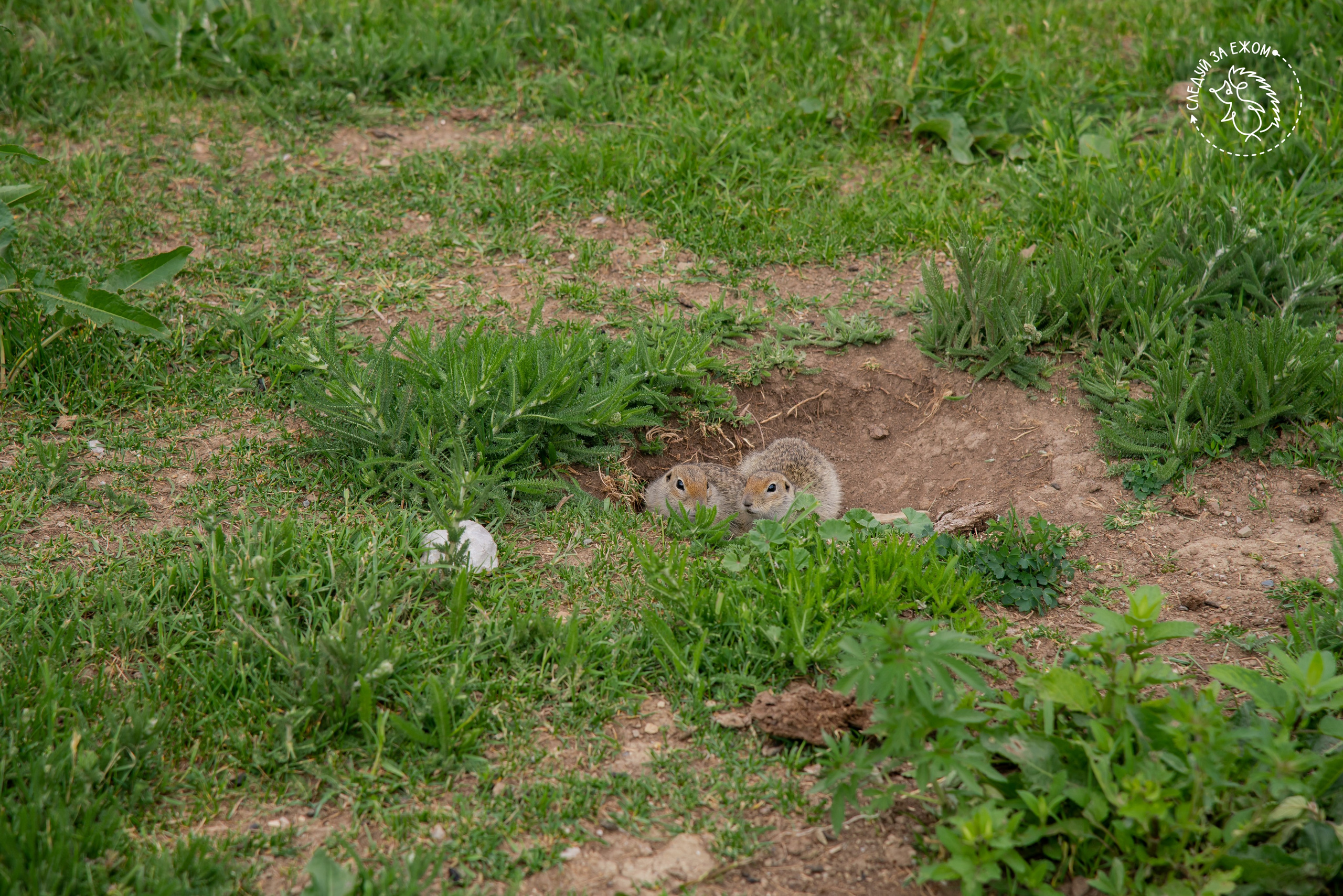Тур в Чегем. Фотограф Галина Нестерова