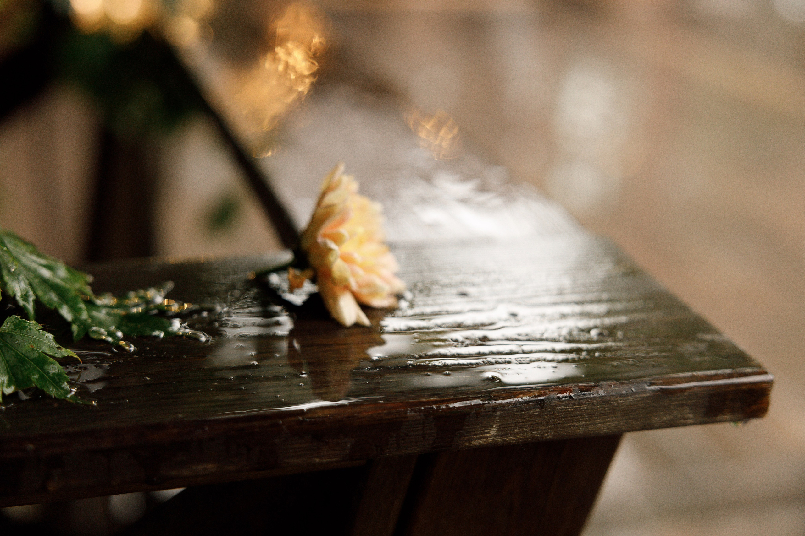 Анастасия и Владислав. Свадебный и семейный фотограф  во Владивостоке Ольга Украинец