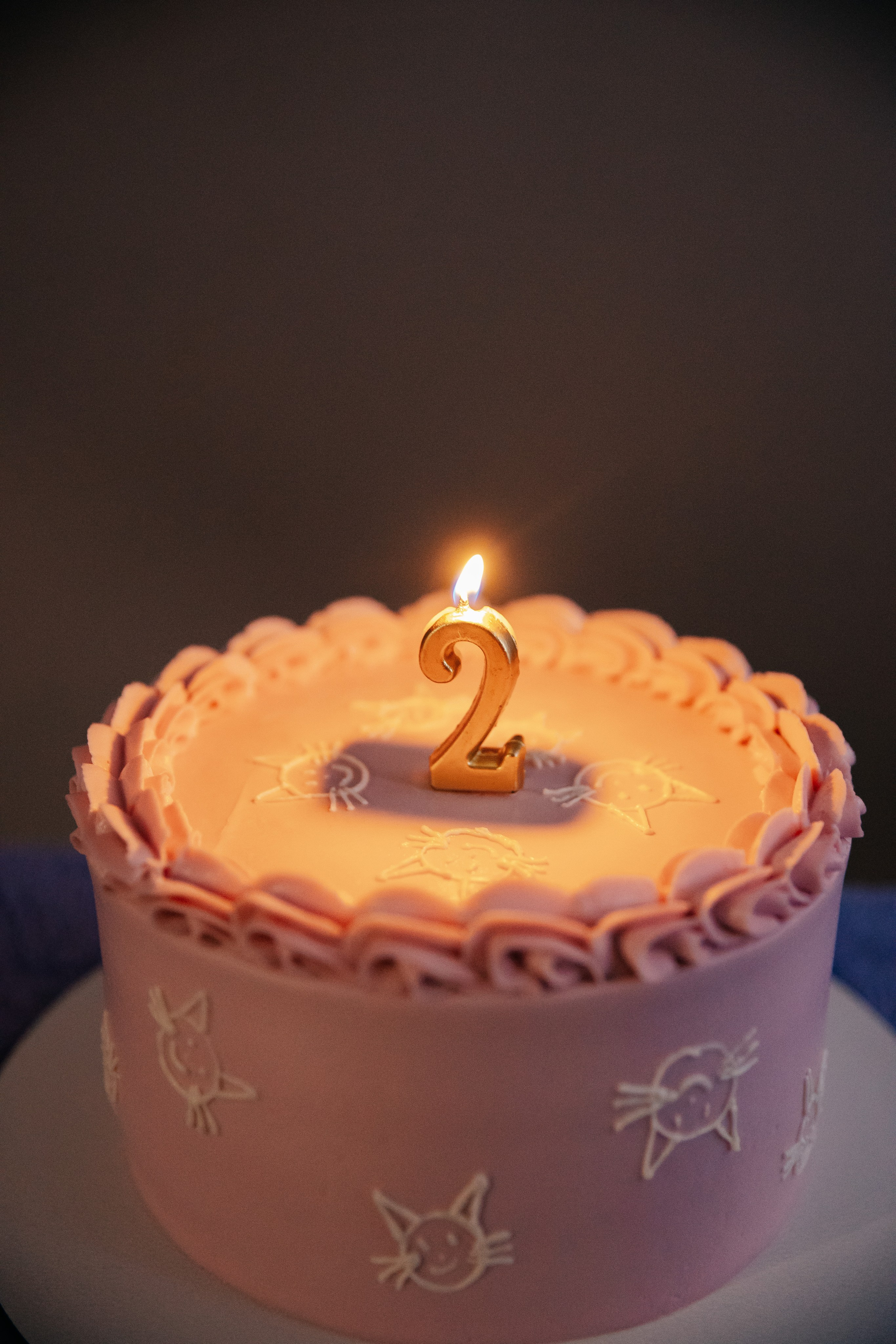 Кире 2 года. Семейный lifestyle фотограф в Санкт-Петербурге Людмила Пахомова