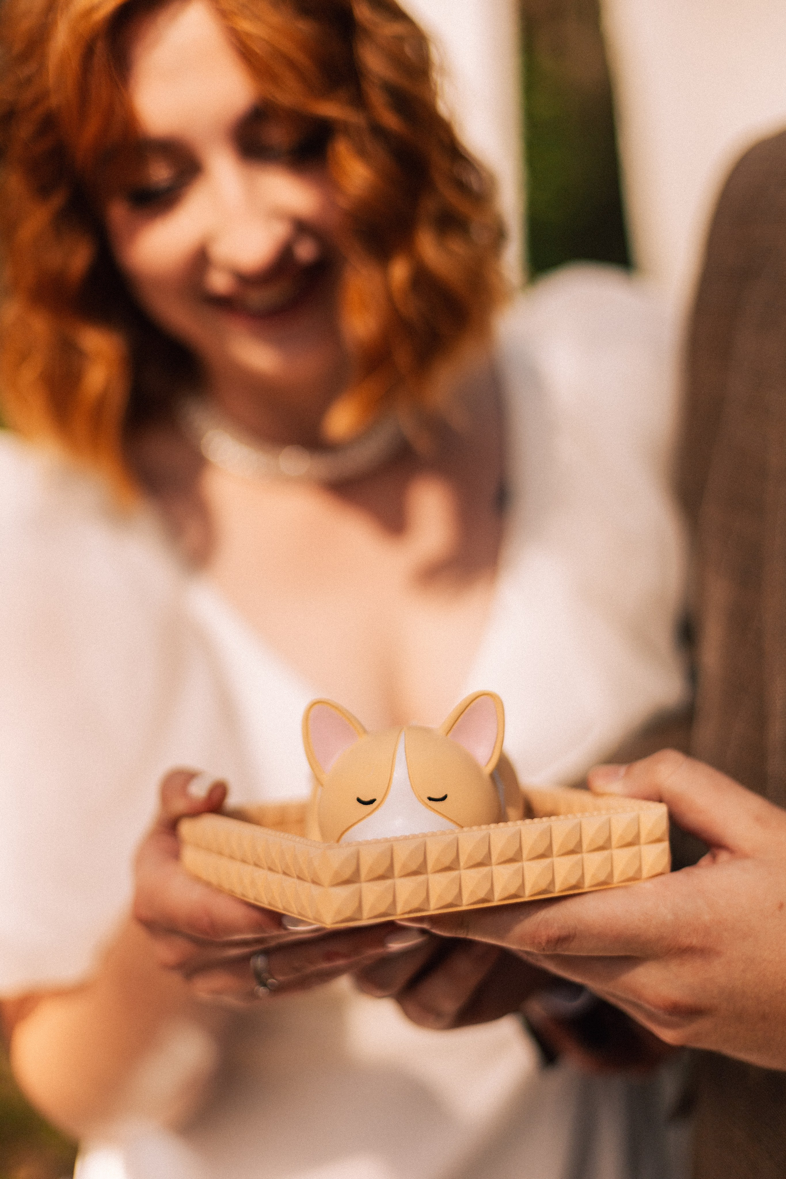 Корги свадьба в сосновом лесу. Фотограф Москва Жуковский Раменское