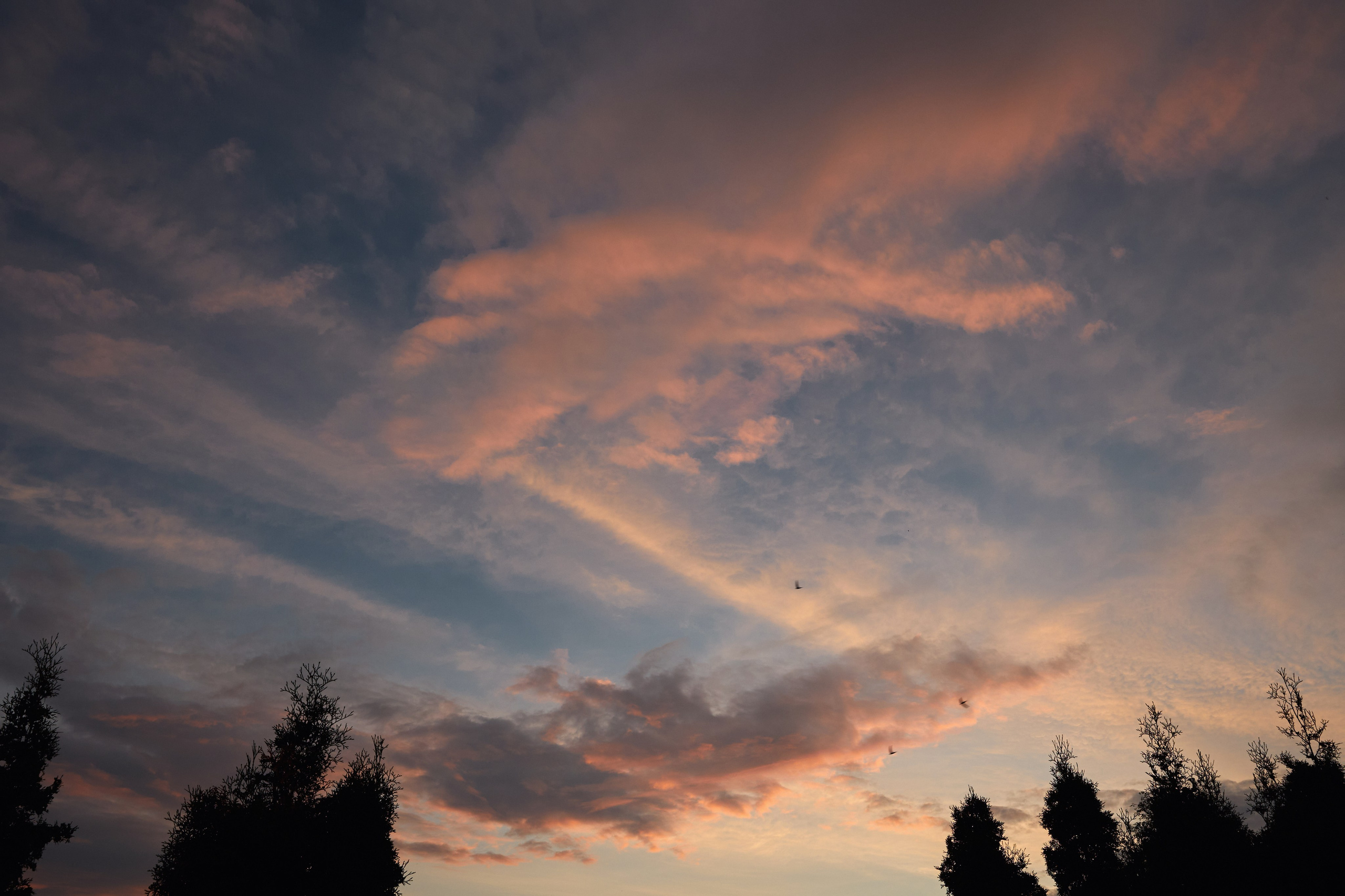 Мария и Александр