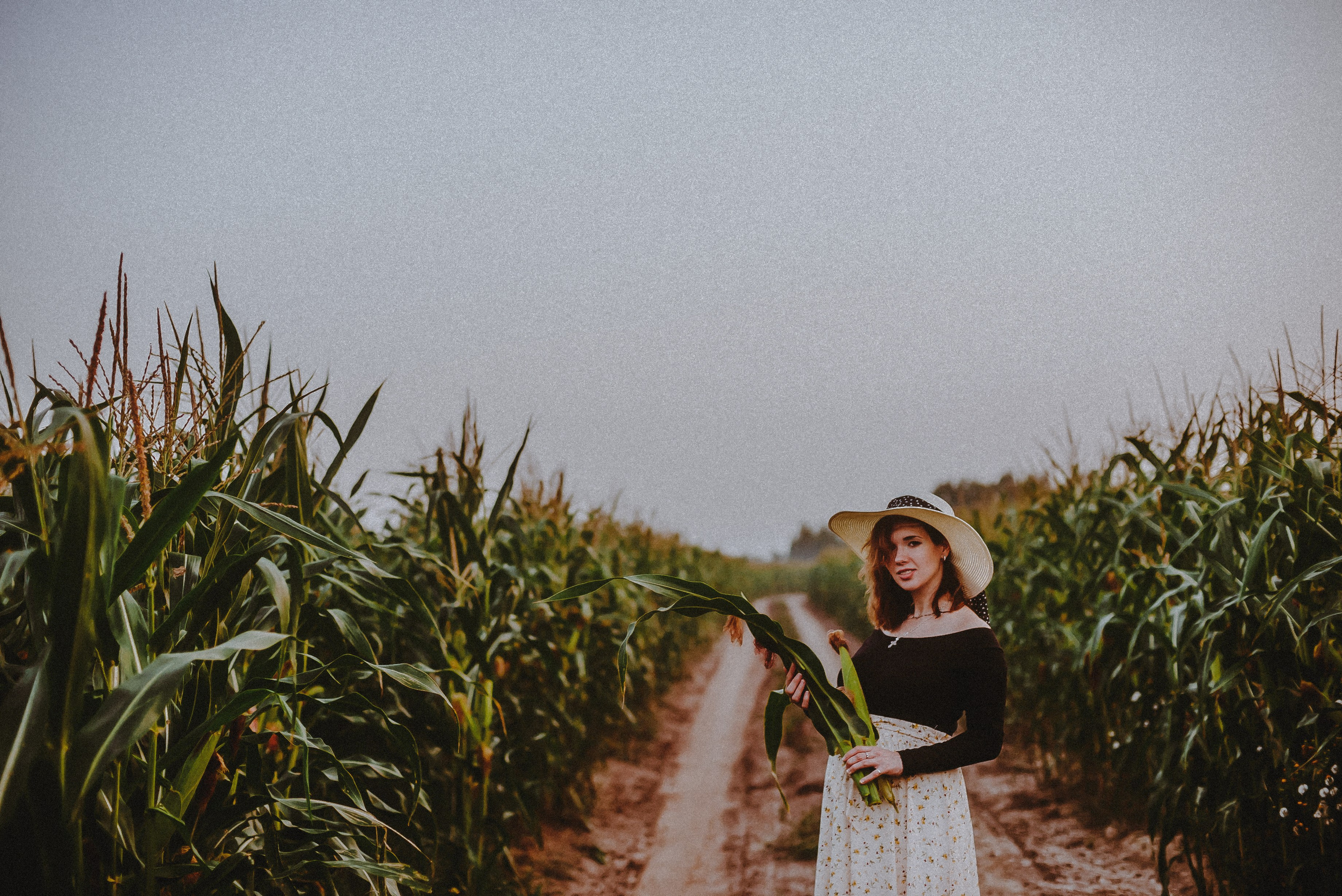 Кукуруза. Свадебный и семейный фотограф в Москве Сажина Кристина КиМ. Свадебный оператор в Москве Сажин Максим