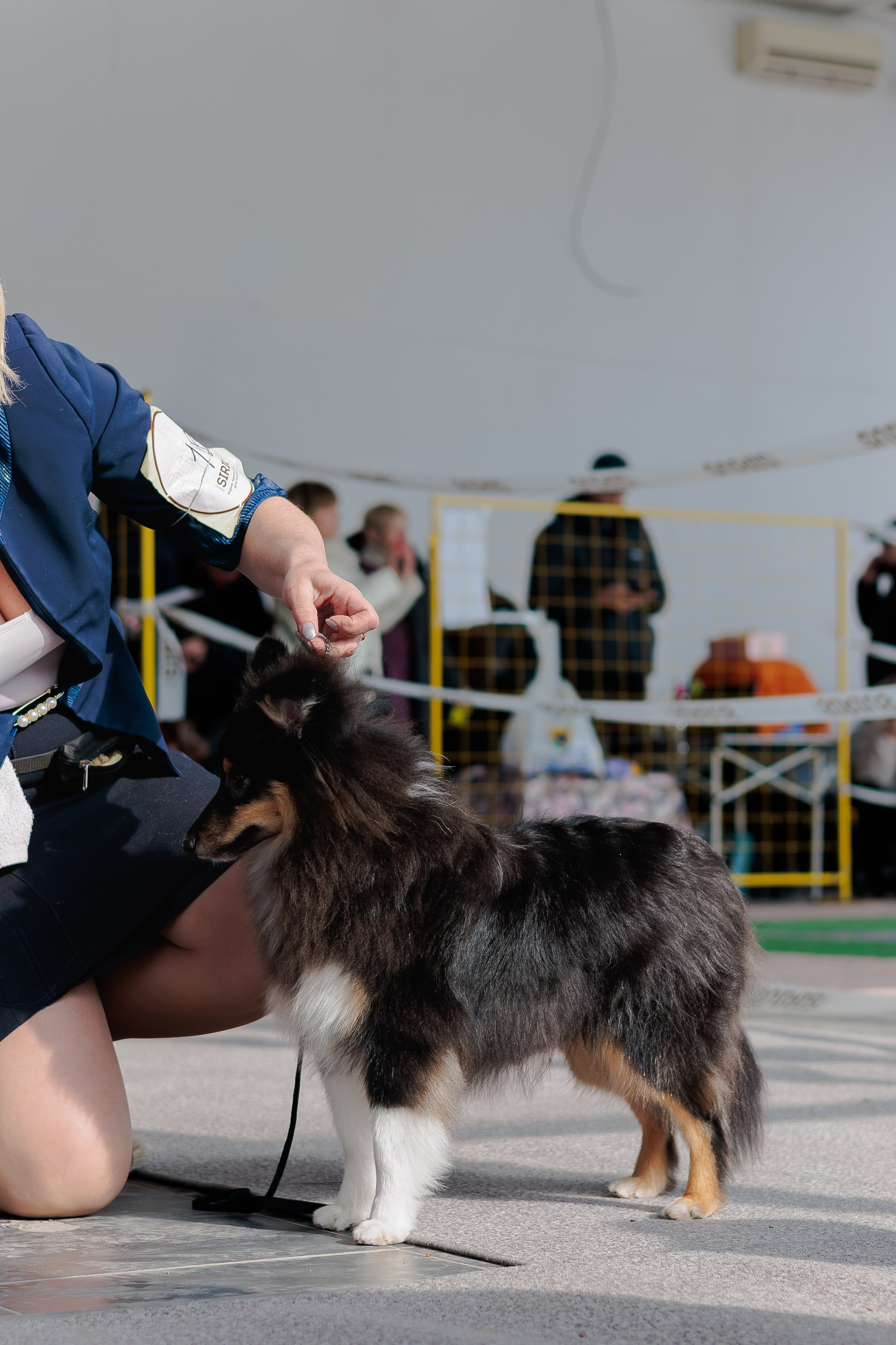 Выставки. Фотограф Марк Файзулин