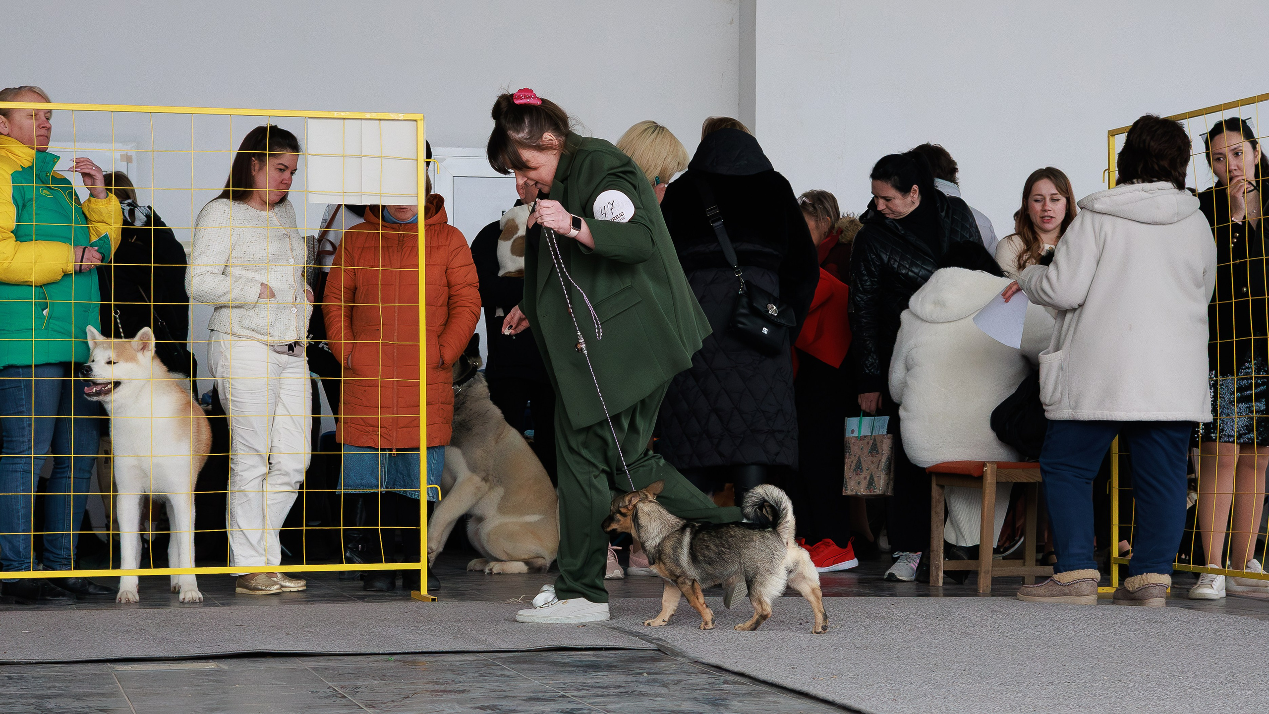 Выставки. Фотограф Марк Файзулин