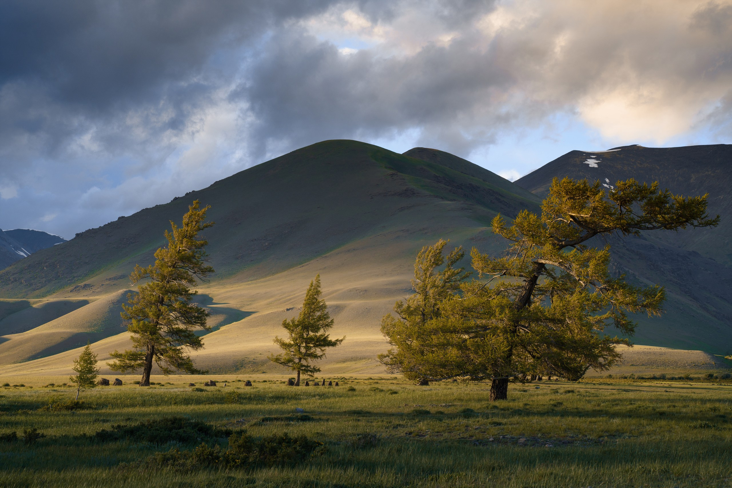 Тува. Фотограф в Красноярске Нерозя Александр. Пейзаж, природа, портрет