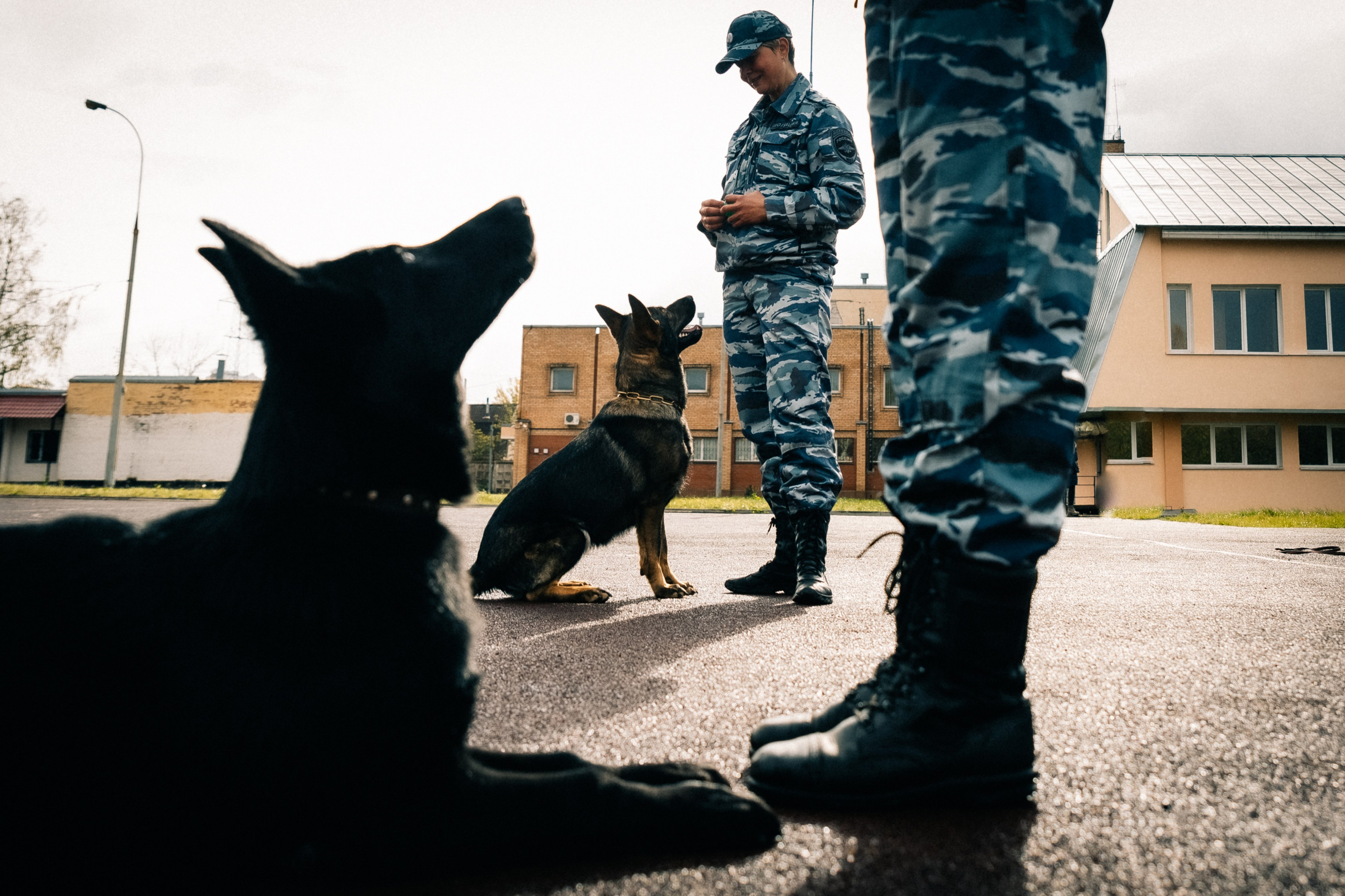 Проект для ГУ МВД г. Москва. Фотограф в Москве и МО Влада Обласова