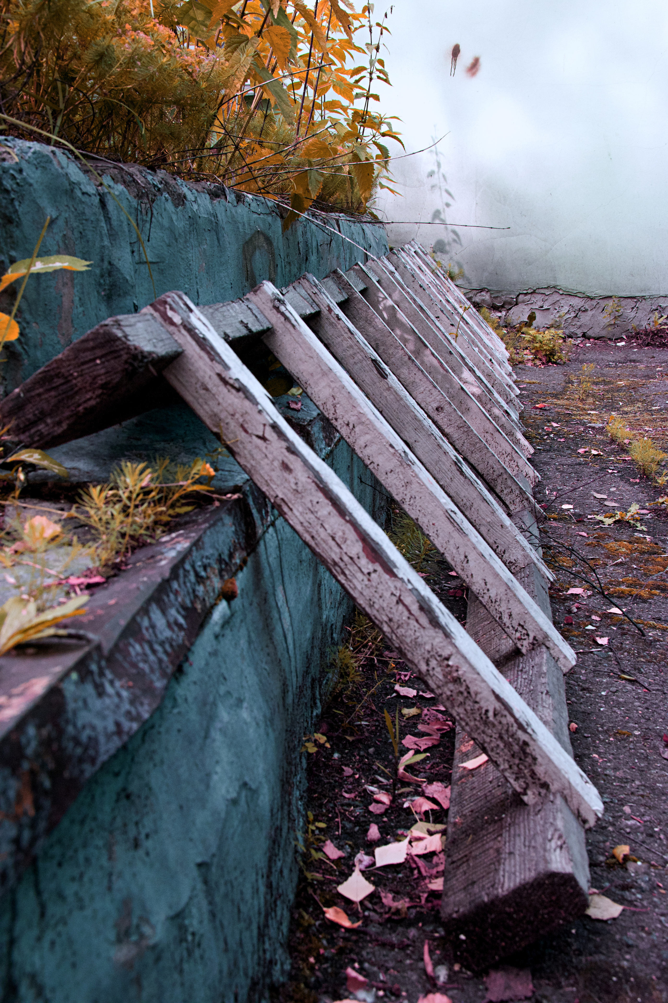 The surrealistic way to live. Main