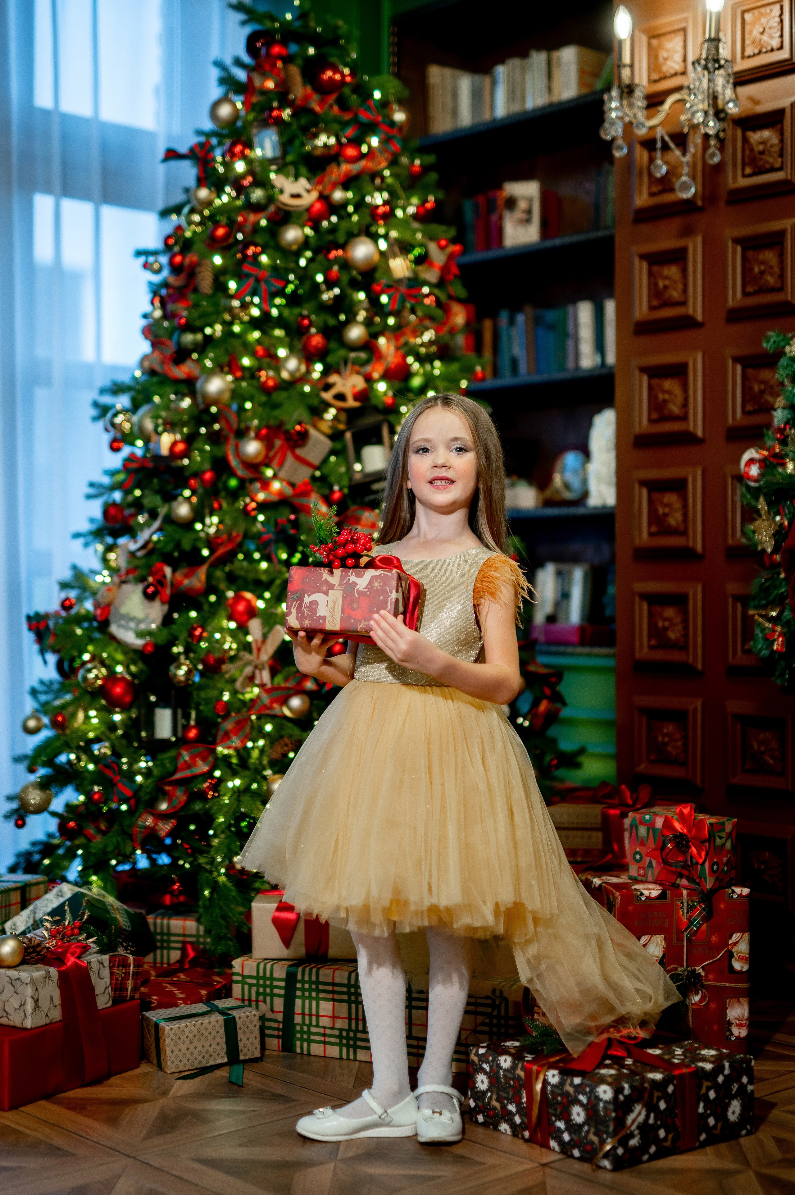 Новогодняя фотосессия в Leona Stage. Портретный, семейный и свадебный фотограф в Санкт-Петербурге и в Пушкине Ширяев Денис